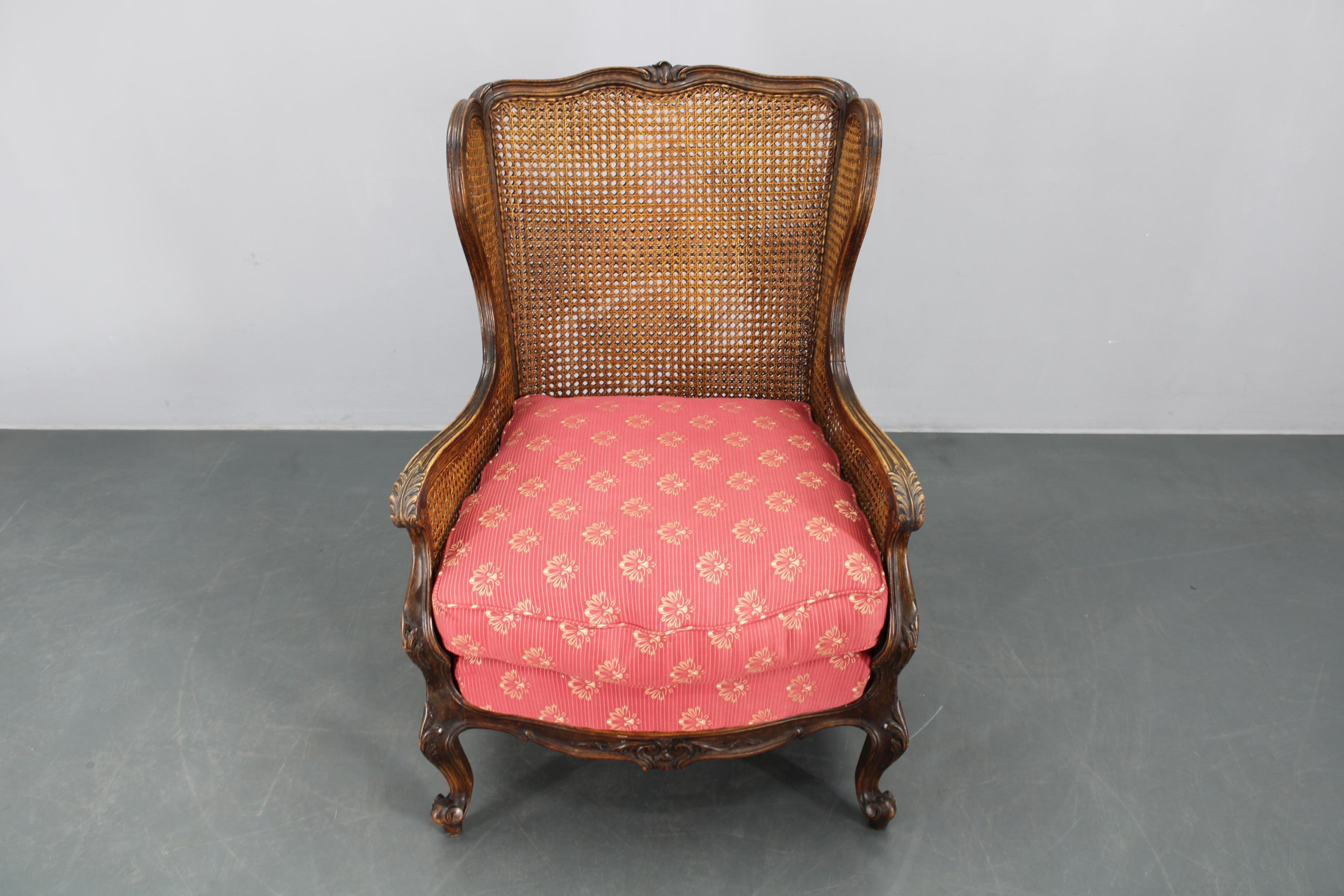 Early 20th Century Antique Carved Wing Chair with Cane Sides , Czechoslovakia For Sale