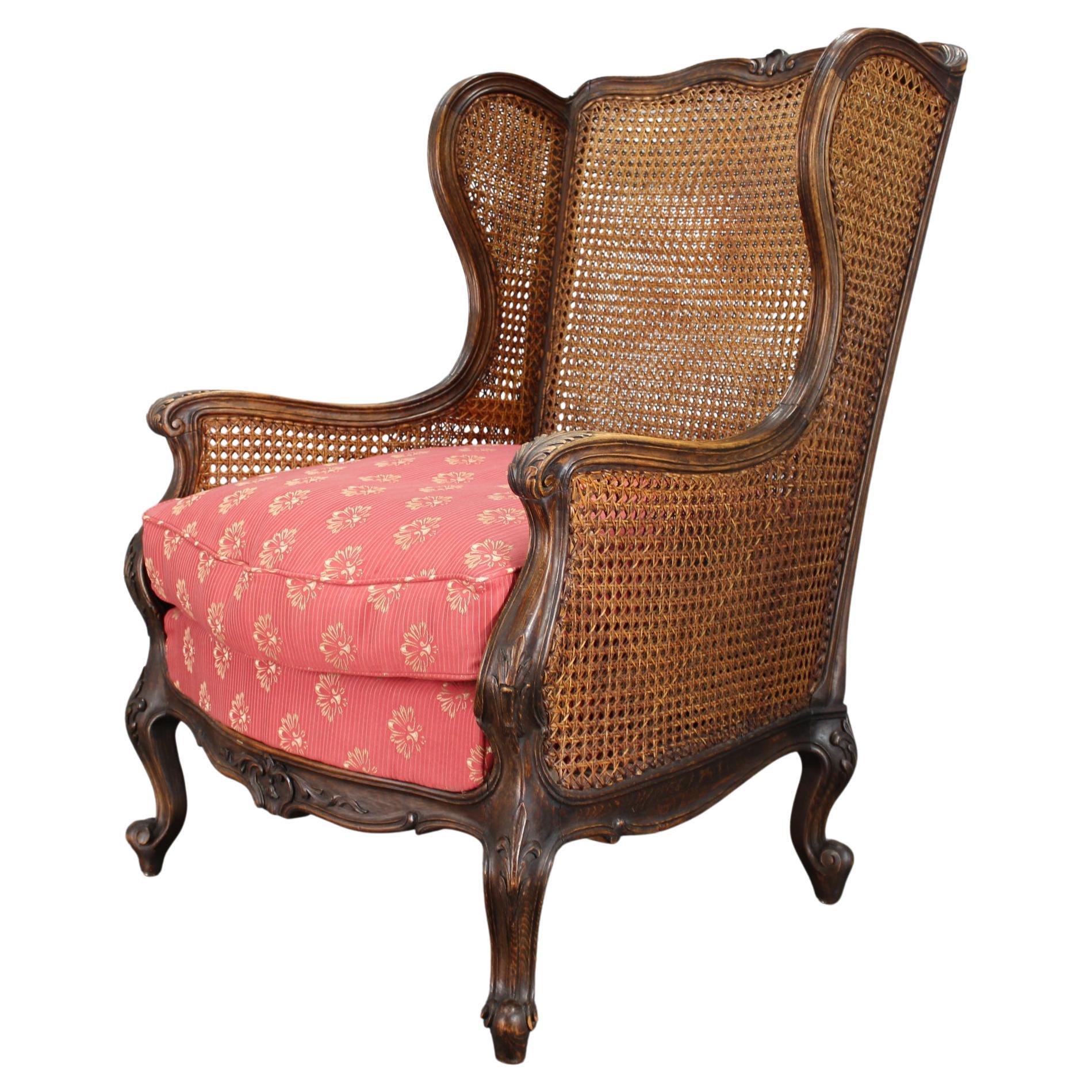 Antique Carved Wing Chair with Cane Sides , Czechoslovakia For Sale