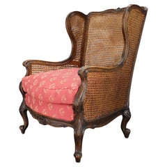Antique Carved Wing Chair with Cane Sides , Czechoslovakia
