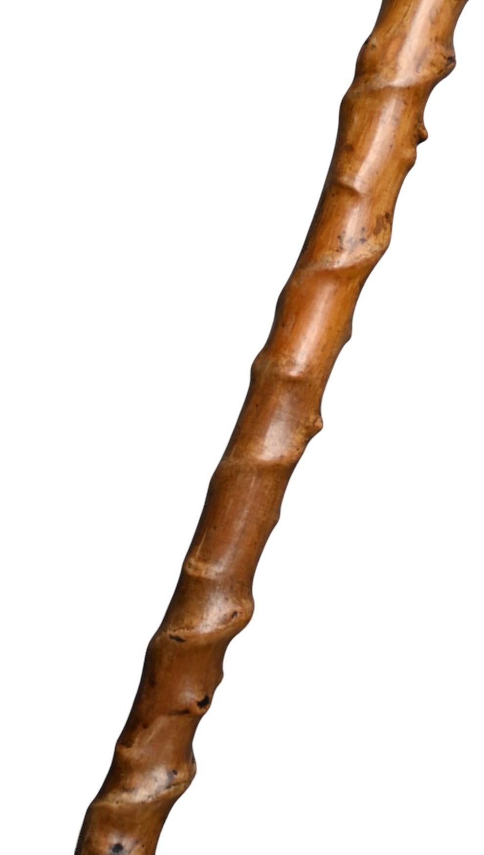 Canne ancienne en Wood Carved - art populaire,  Poignée fantastique , 19e siècle en vente 5