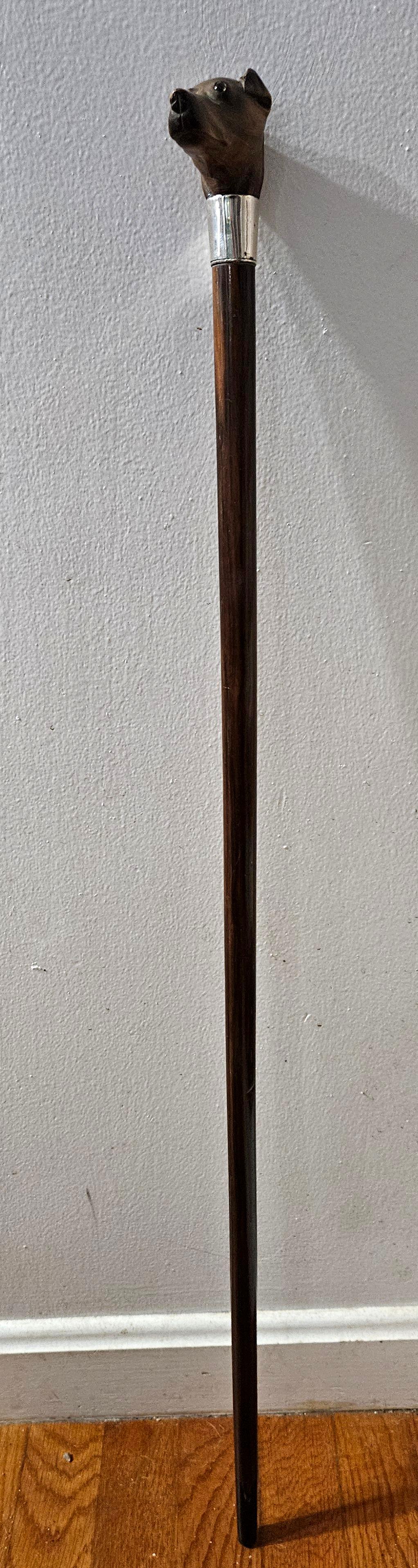 Canne bâton de marche antique en bois sculpté à tête de chien terrier avec collier en argent et manche en bois

 