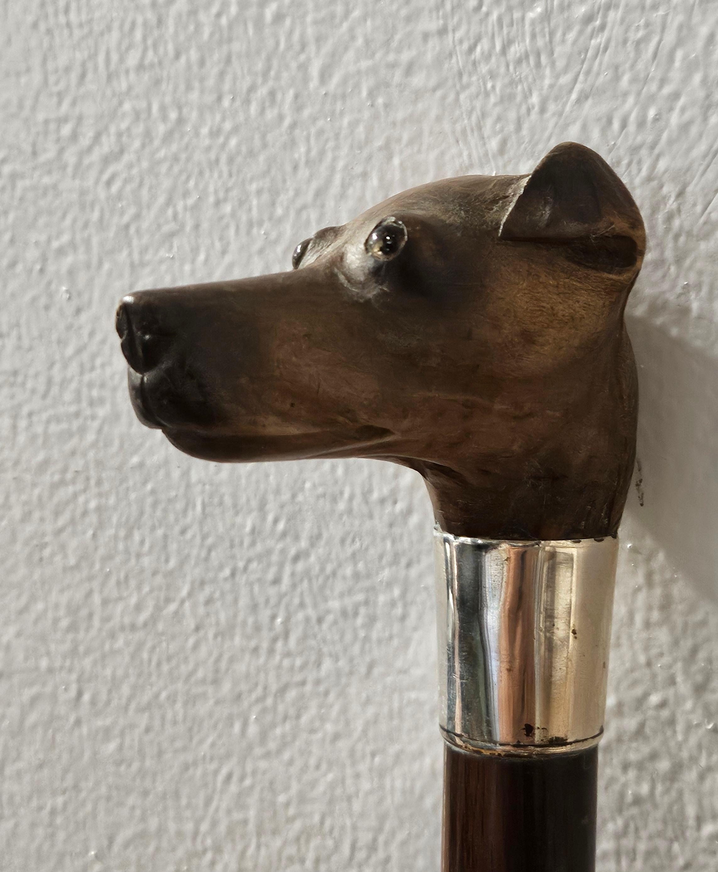 Fait main Canne bâton de marche en bois ancien sculpté tête de chien terrier en vente