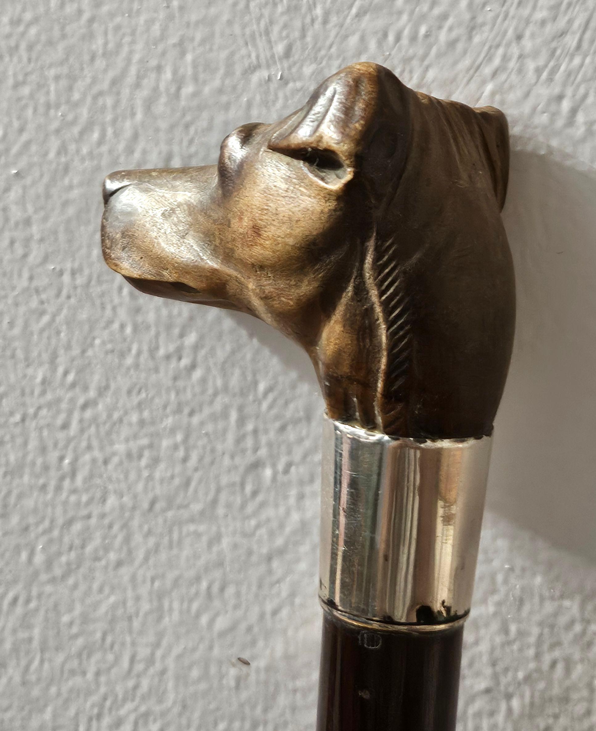 Canne bâton de marche en bois ancien sculpté tête de chien terrier Excellent état - En vente à Norton, MA