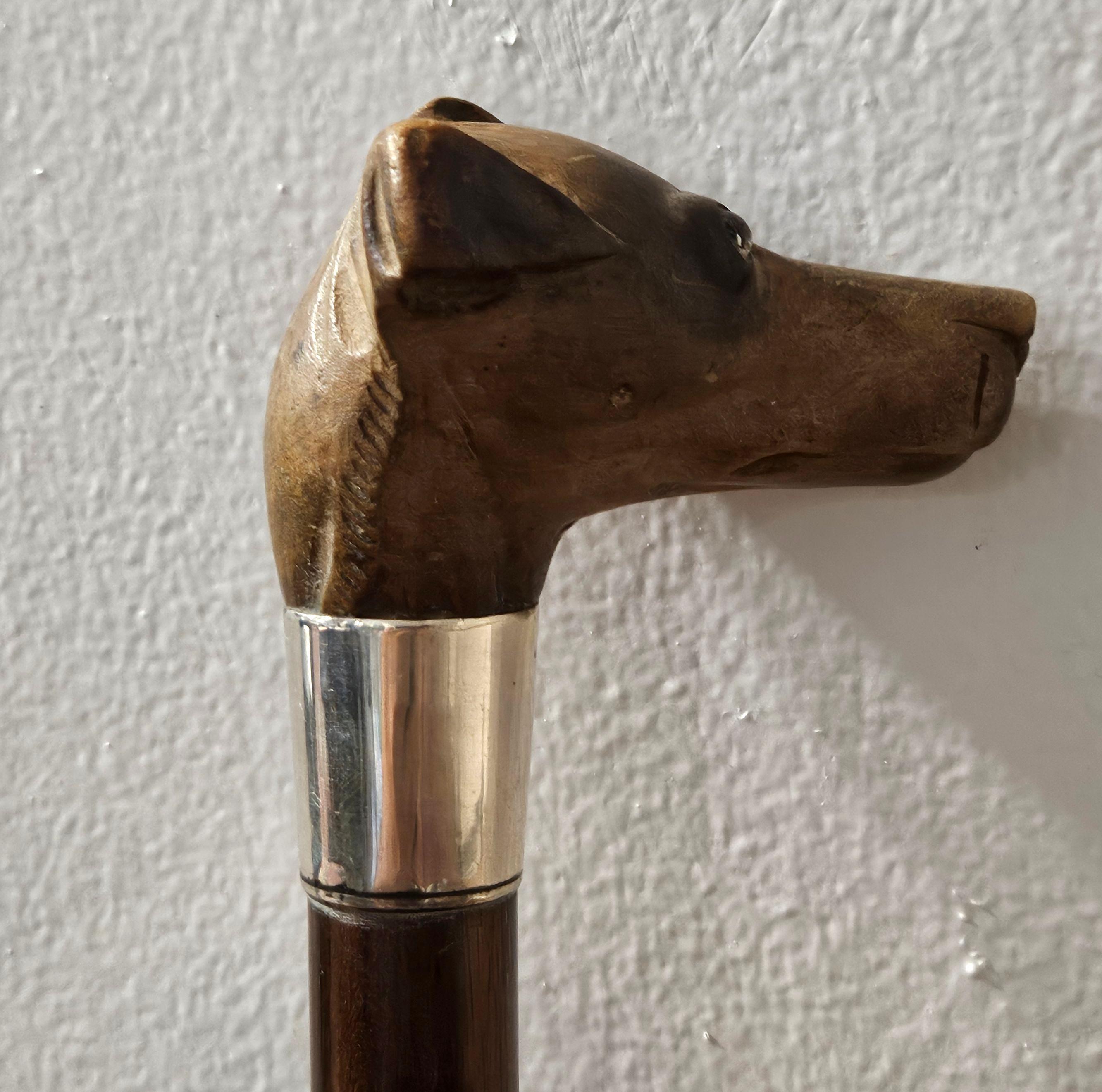 20ième siècle Canne bâton de marche en bois ancien sculpté tête de chien terrier en vente