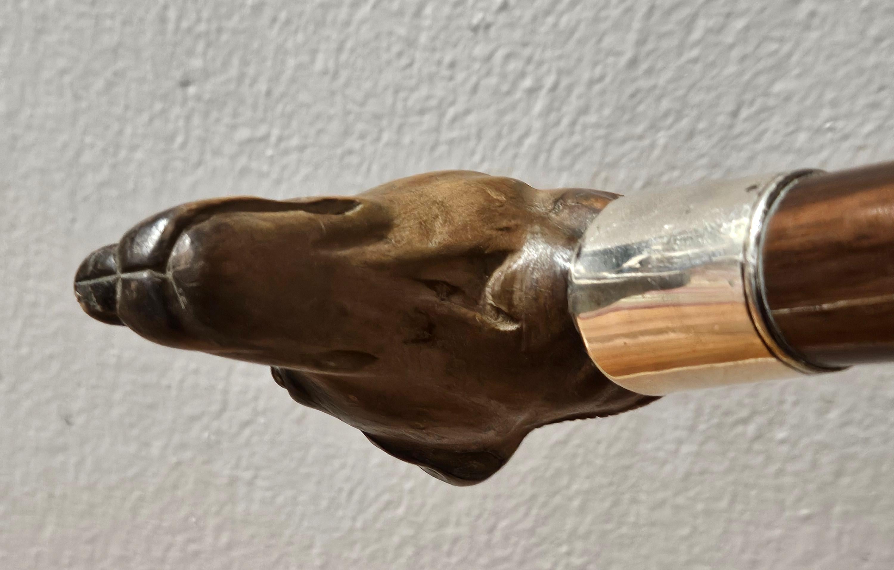 Canne bâton de marche en bois ancien sculpté tête de chien terrier en vente 1