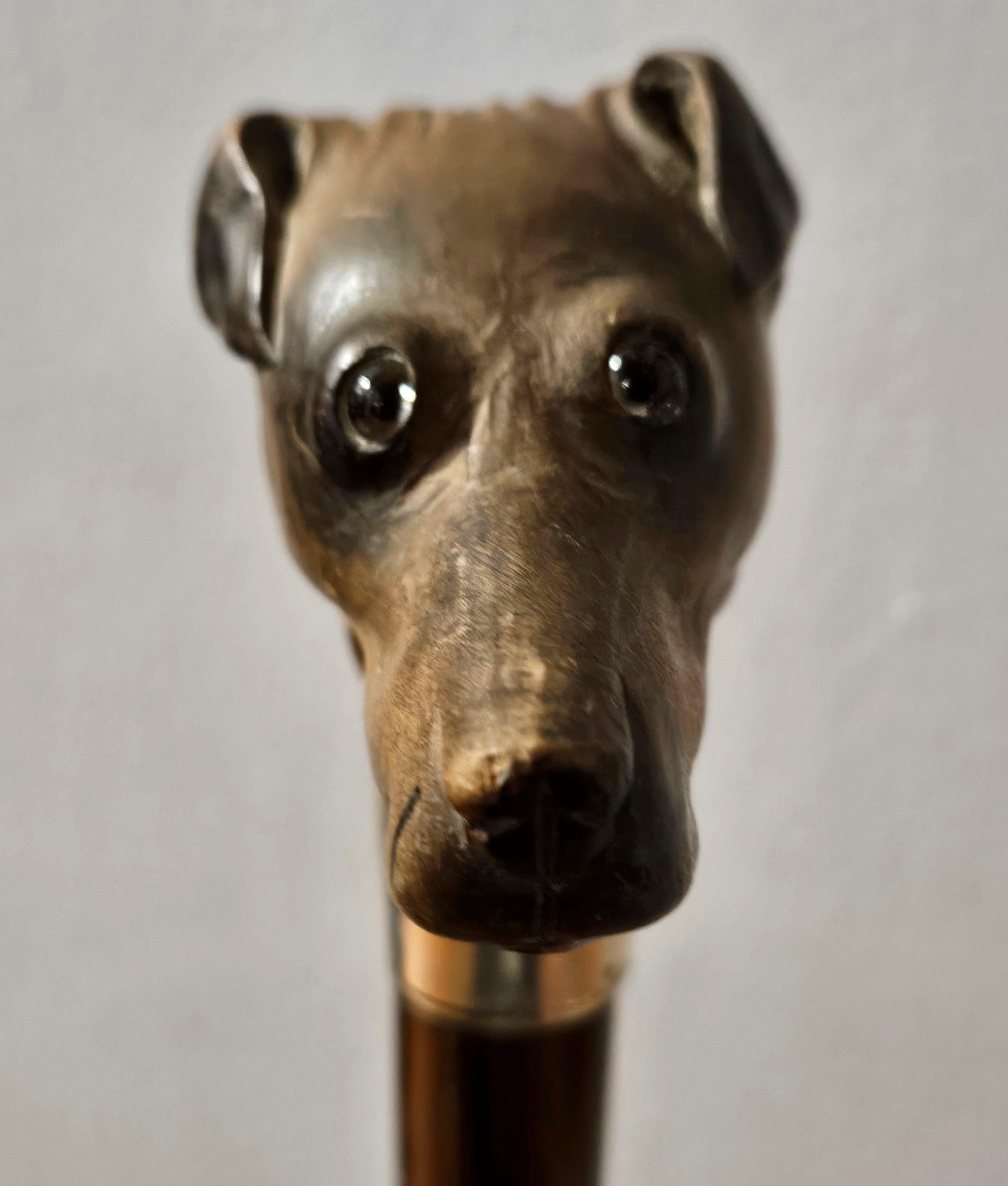 Canne bâton de marche en bois ancien sculpté tête de chien terrier en vente 2