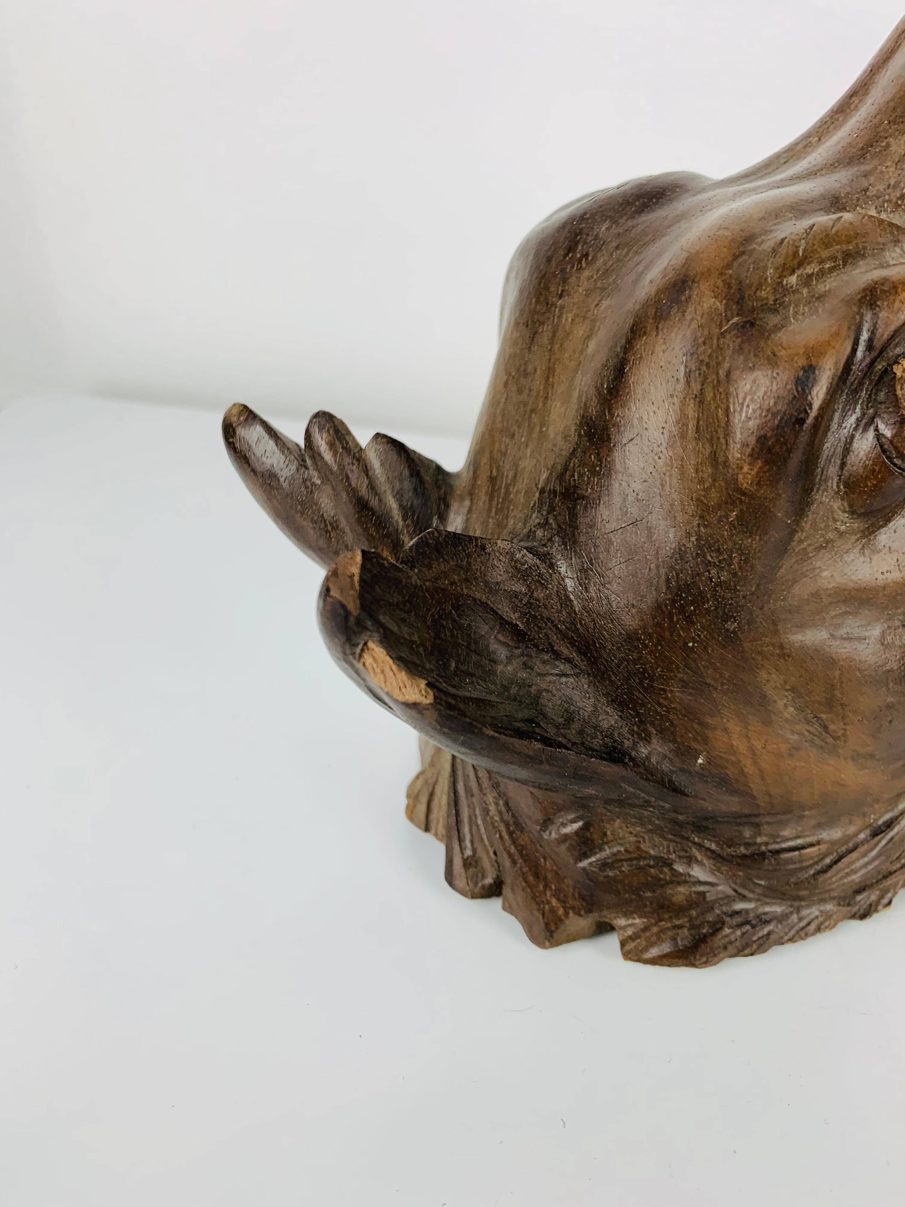 Antica testa di lupo e di cinghiale in legno intagliato, sculture in legno, arte popolare in vendita 6