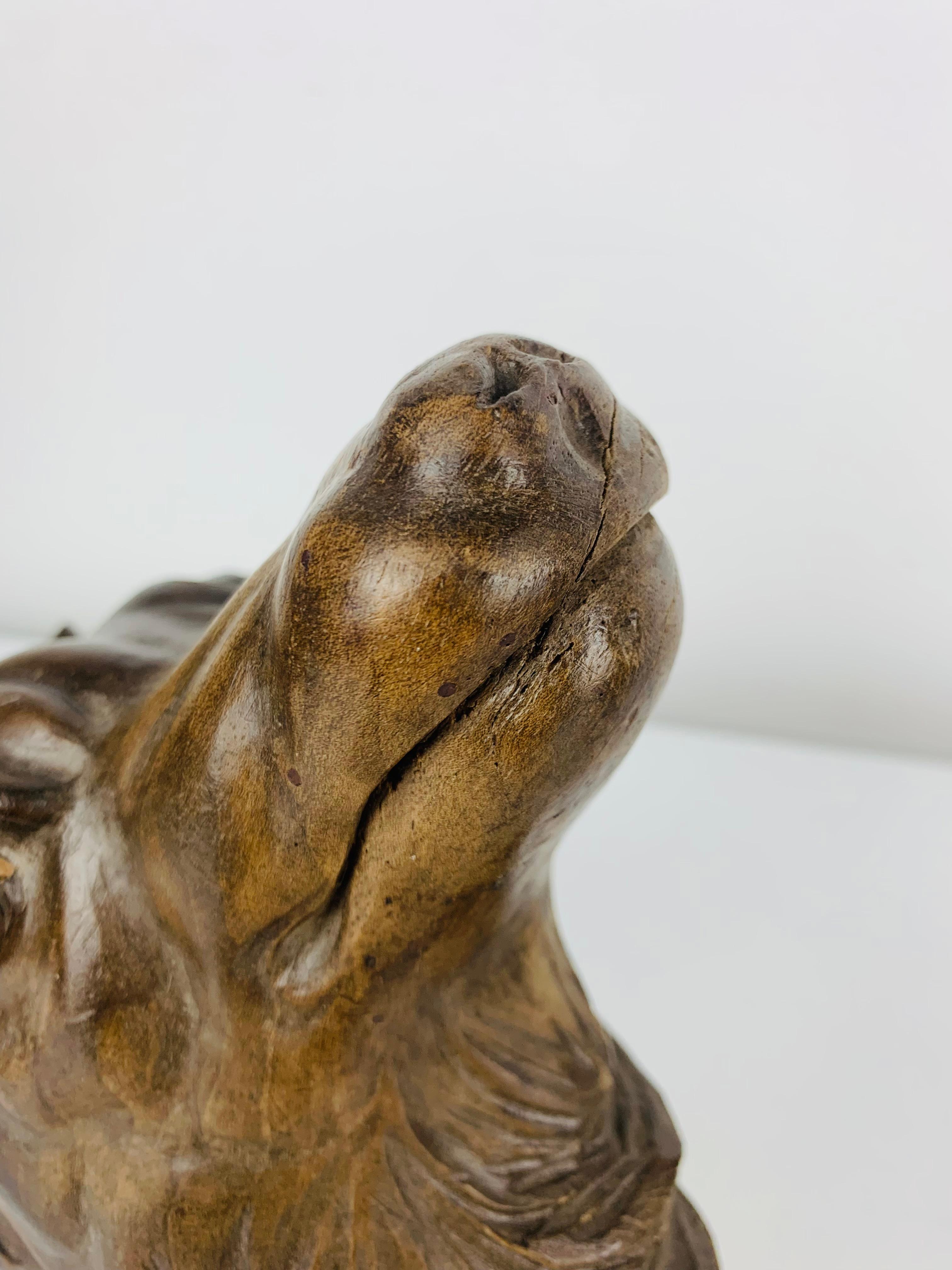 Antica testa di lupo e di cinghiale in legno intagliato, sculture in legno, arte popolare in vendita 7