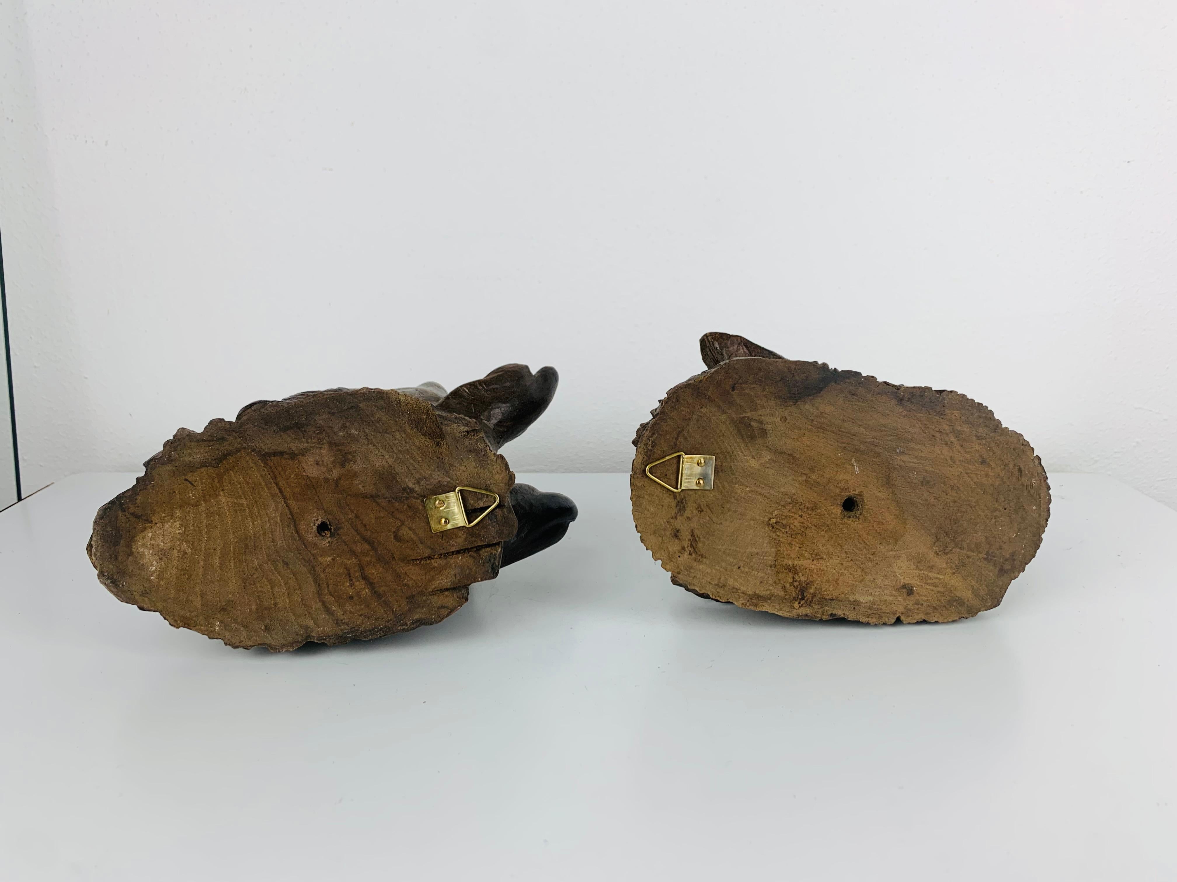 Antica testa di lupo e di cinghiale in legno intagliato, sculture in legno, arte popolare in vendita 9