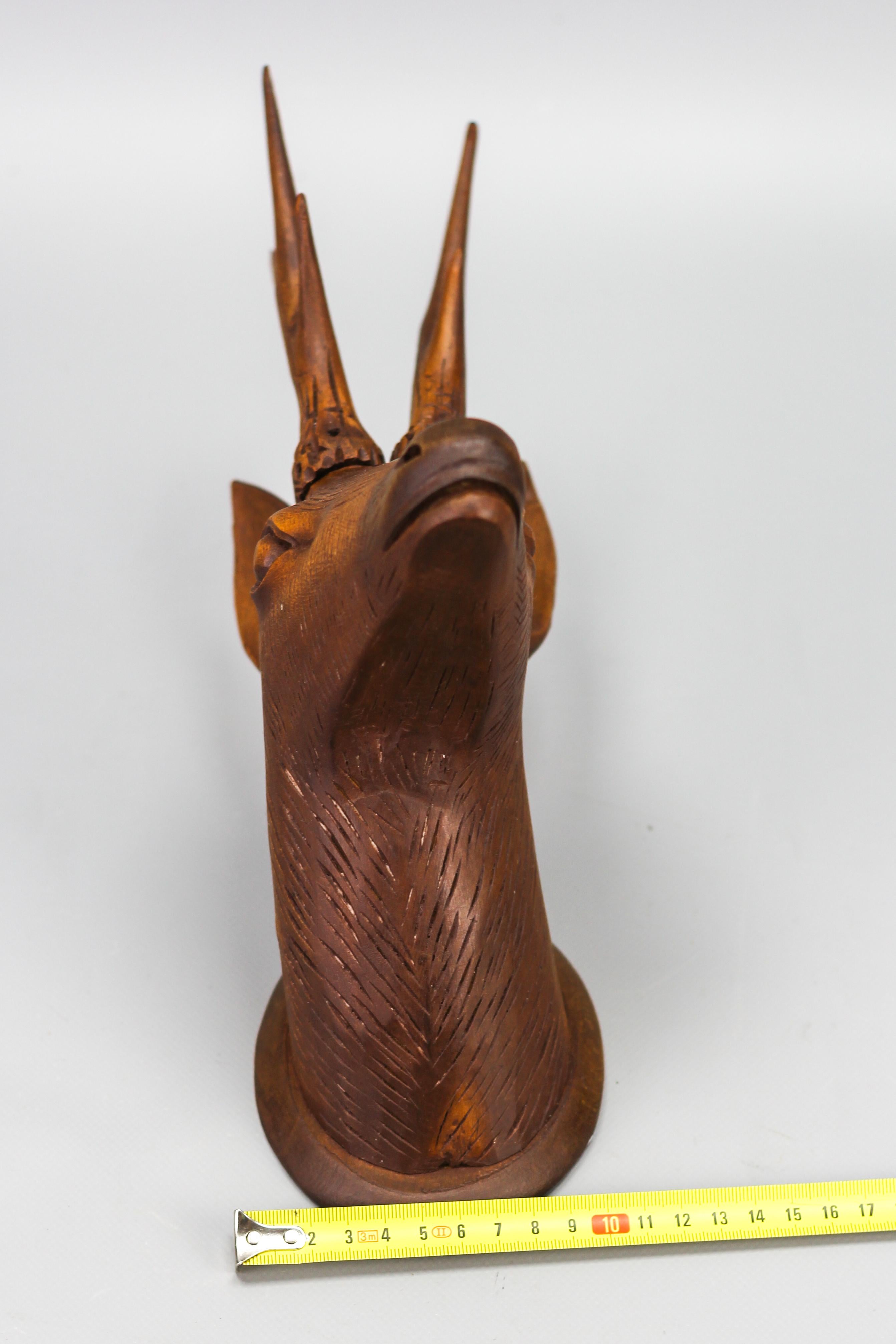 Antique Carved Wooden Deer's Head Wall Decoration, Germany, ca 1920 For Sale 10