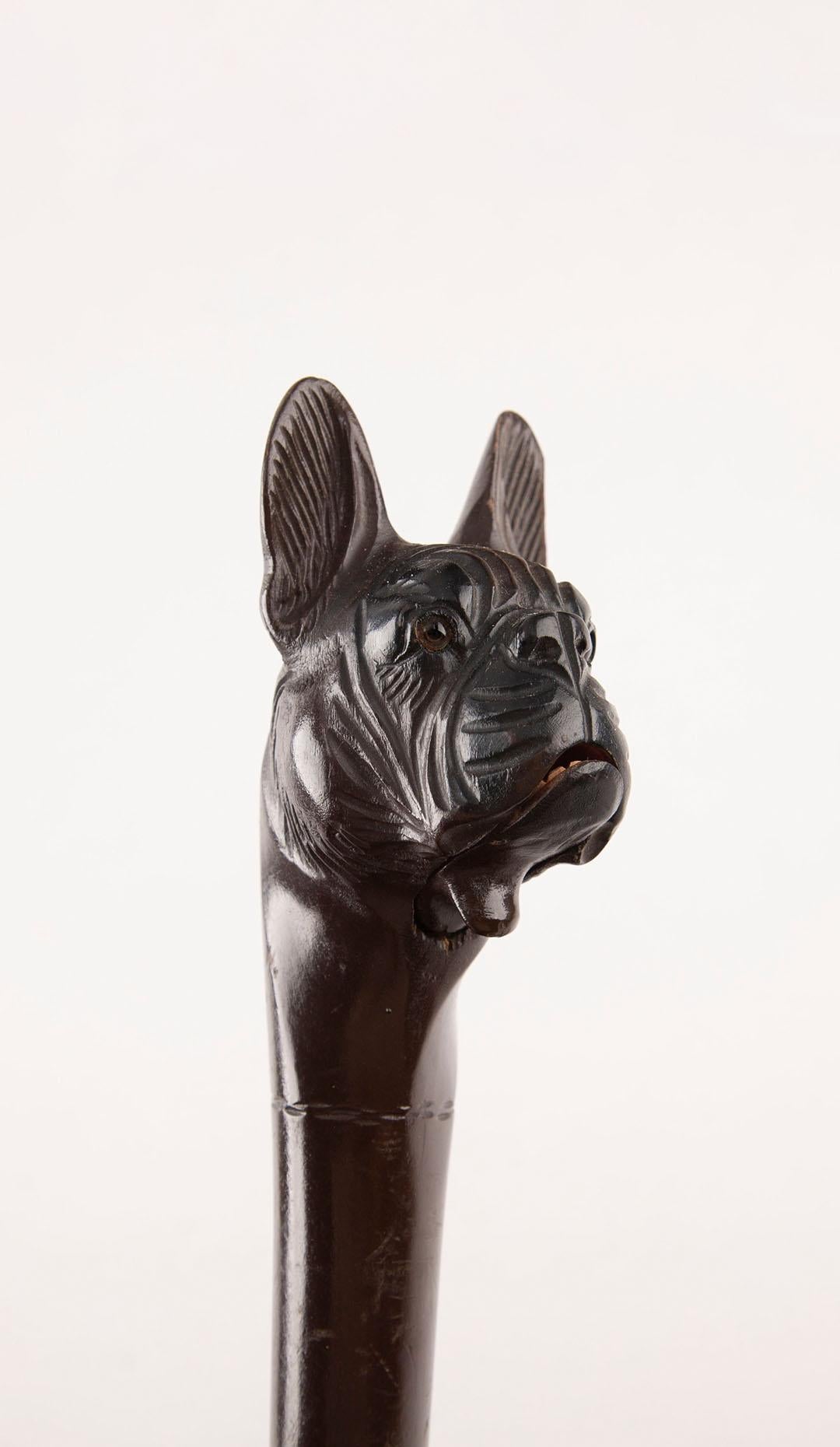 19th Century Hand-Carved Wooden Dog Head with Movable Jaw – Finely crafted from dark hardwood, this antique figural carving features the detailed head of a dog, possibly a French Bulldog or similar breed, with expressive eyes, upright ears, and