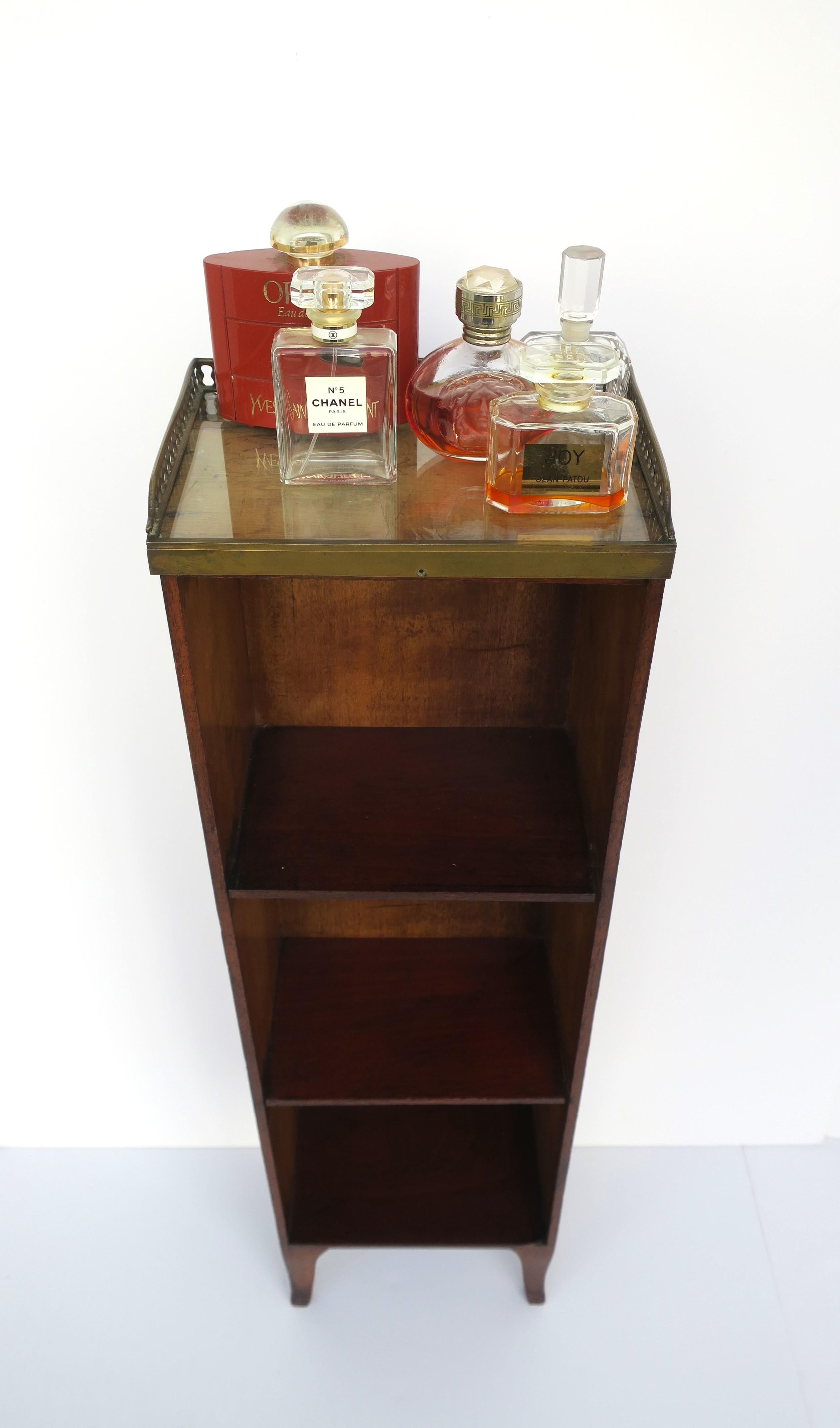 Glass Antique Case Storage Piece with Shelves For Sale