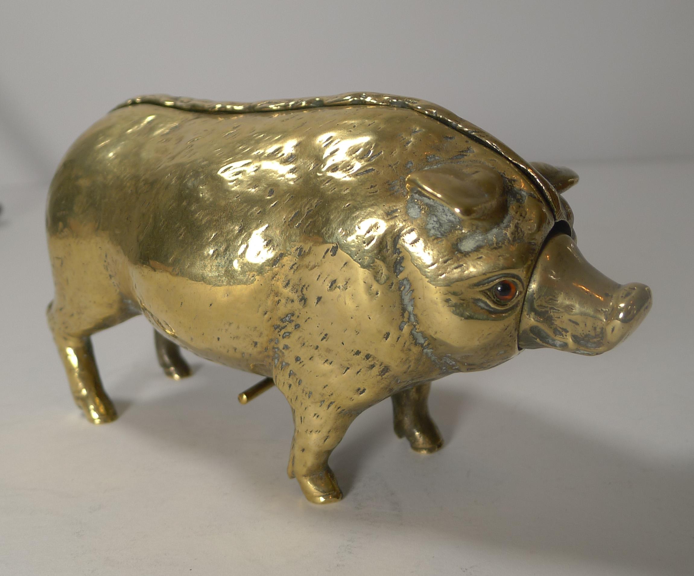 brass pig