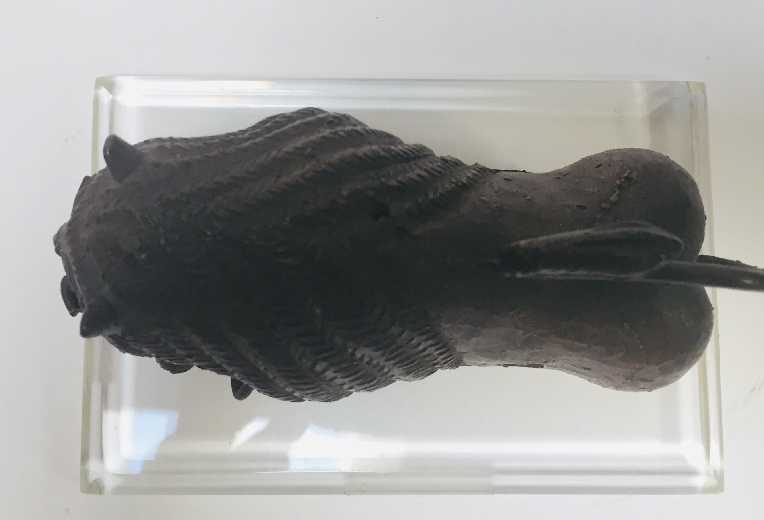 Antike antike Bronzeguss-Bronze eines mythologischen Löwenkäfigs im Angebot 9
