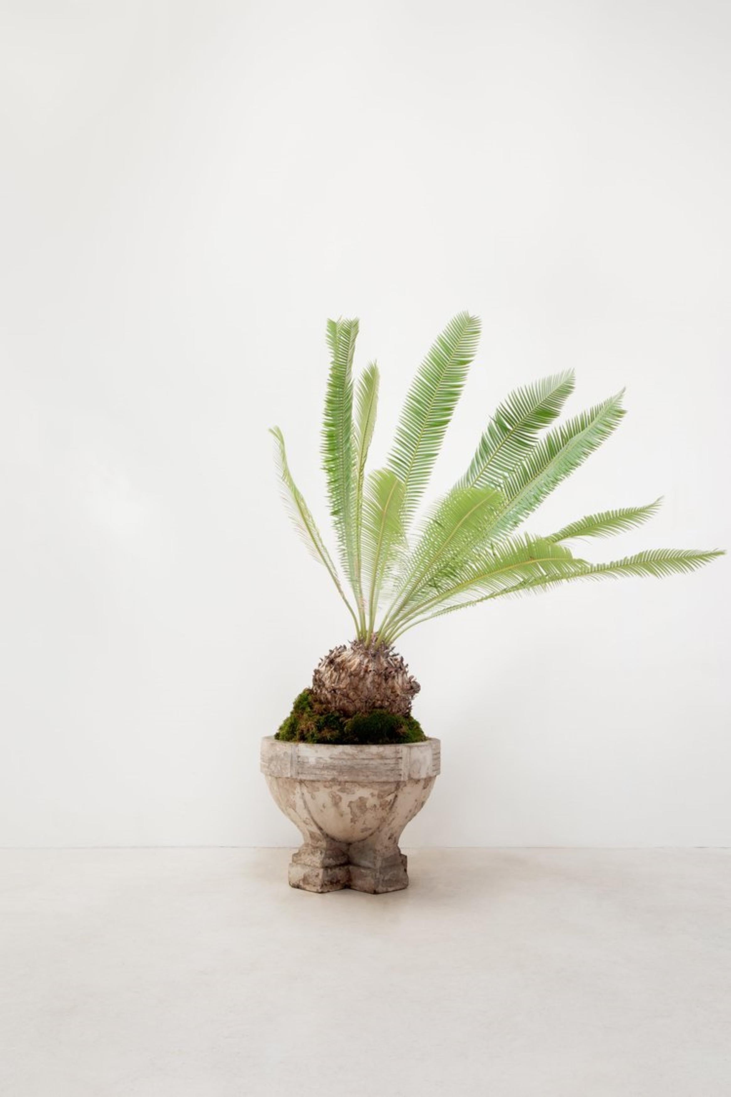 Mid-Century Modern Antique Cast Concrete Planter