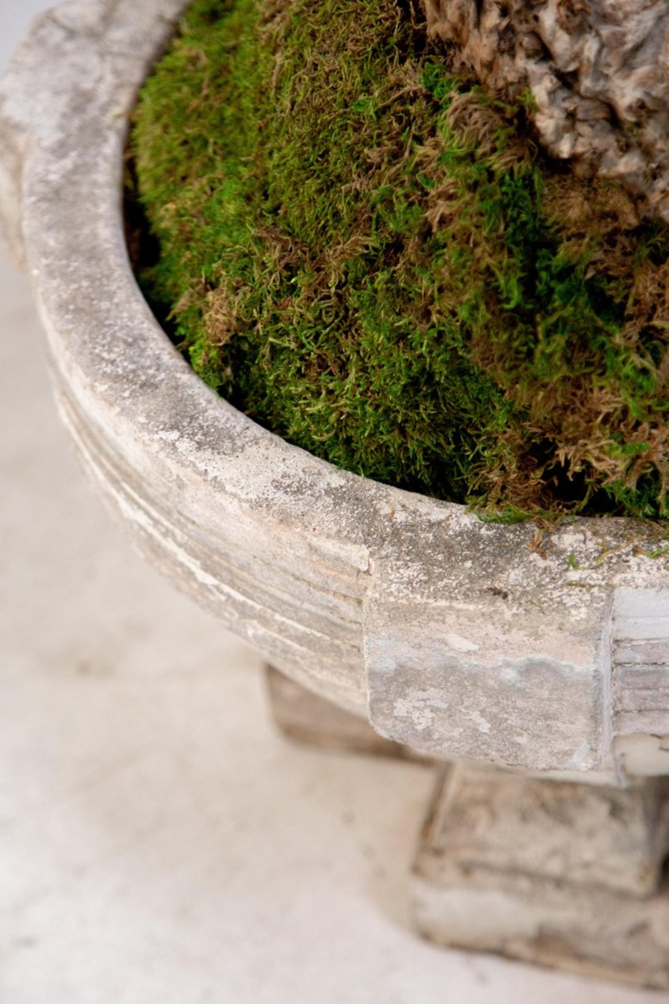 Unknown Antique Cast Concrete Planter For Sale