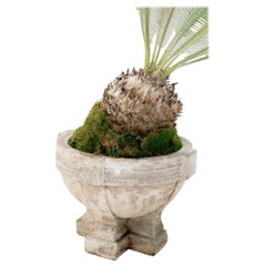 Antique Cast Concrete Planter