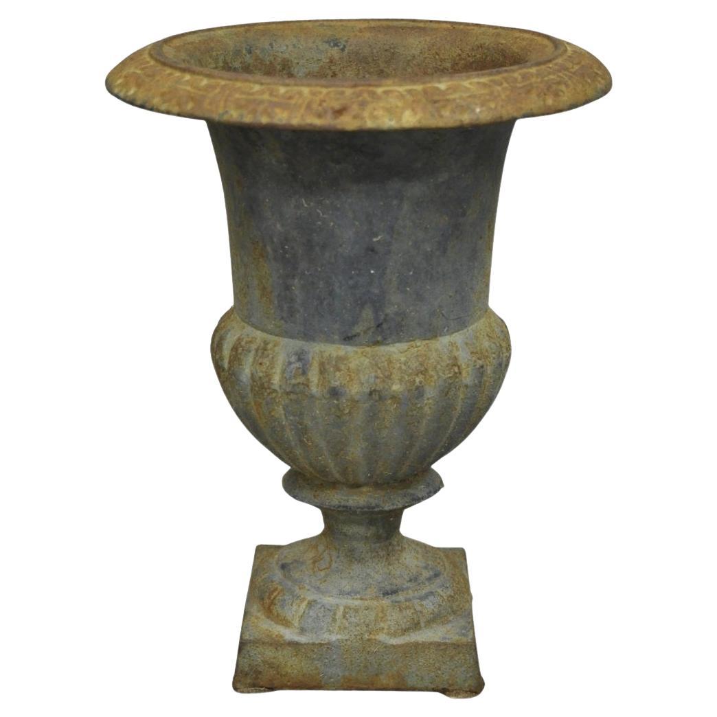 Antique French, in ghisa, da 12", piccola urna da giardino, fioriera da giardino in vendita