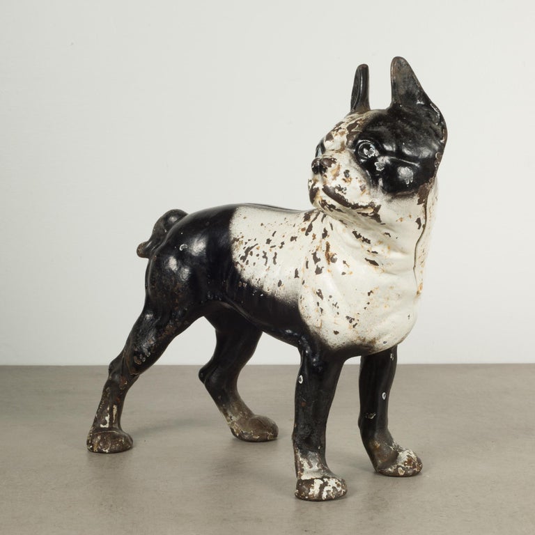 Antique Cast Iron Boston Terrier Doorstop by Hubley, circa 19101940 at