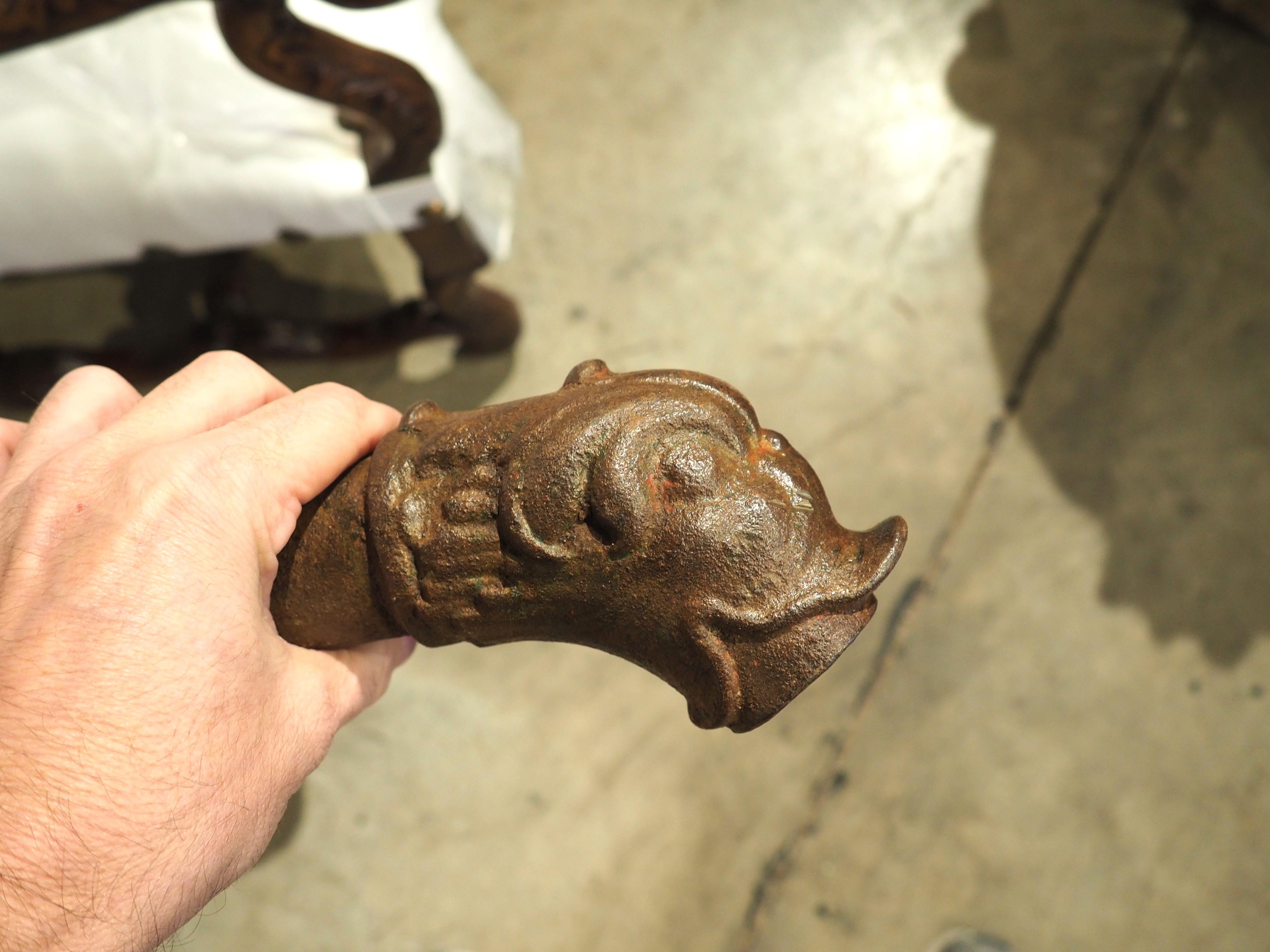 Antique Cast Iron Dolphin Fountain Spout from France, 19th Century 1
