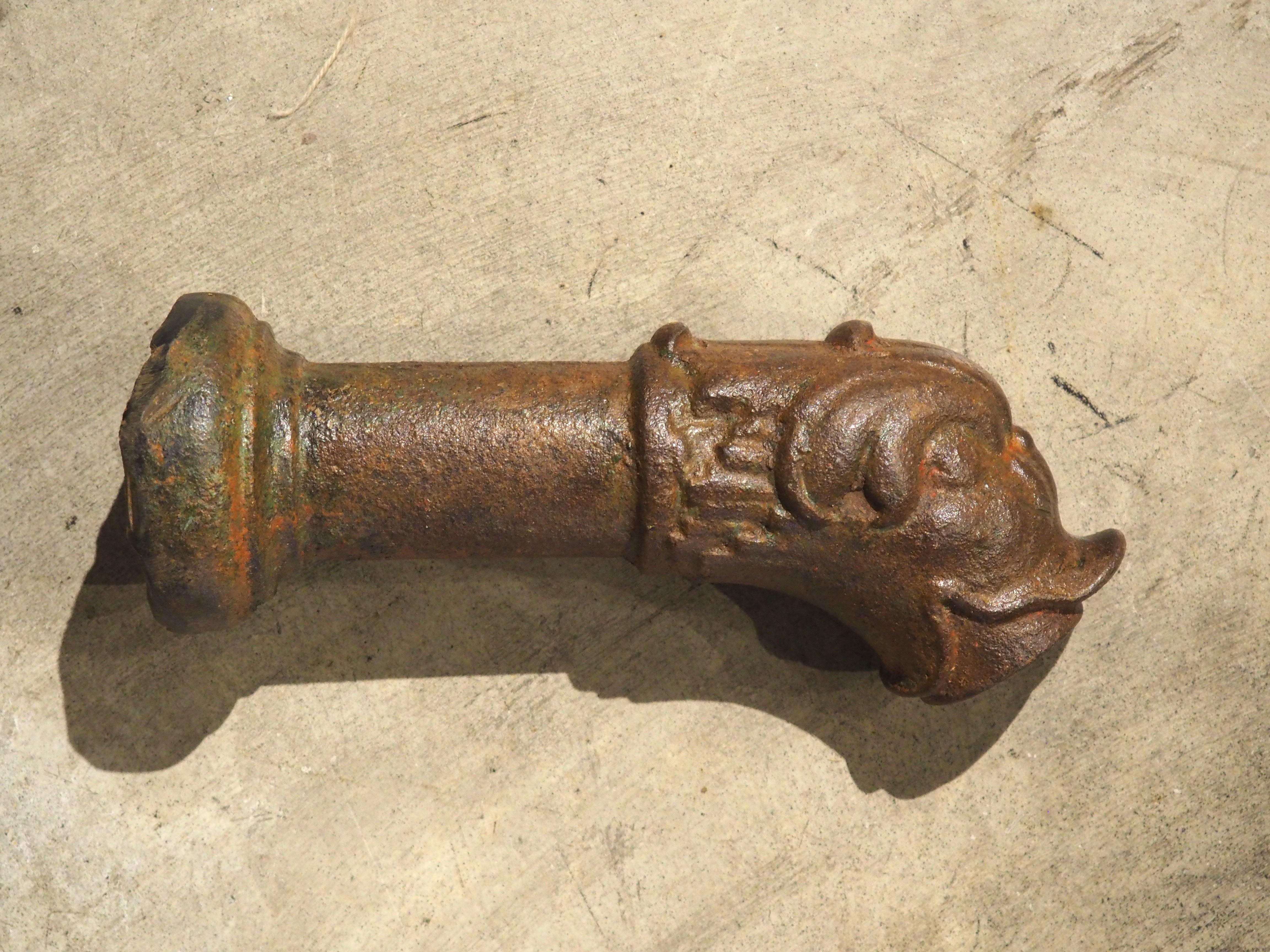 Antique Cast Iron Dolphin Fountain Spout from France, 19th Century 3