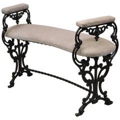 Antique Cast Iron Kidney Bean French Art Nouveau Victorian Vanity Bench Seat