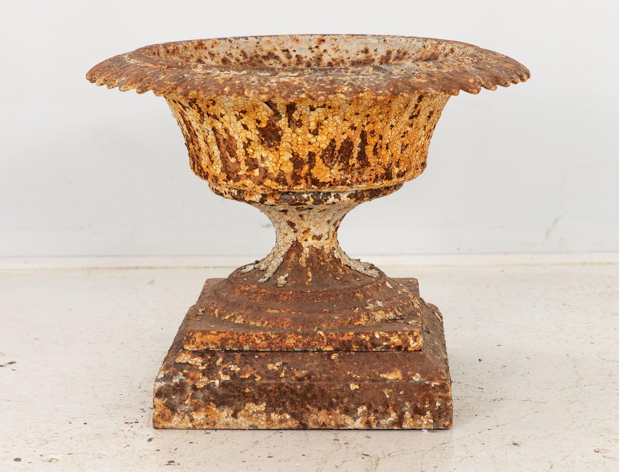 This 19th-century English cast iron urn showcases a rich, brownish-gold patina, the result of time-worn rust that enhances its antique appeal. With its classical proportions, fluted body, and wide opening, it reflects the refined garden aesthetics