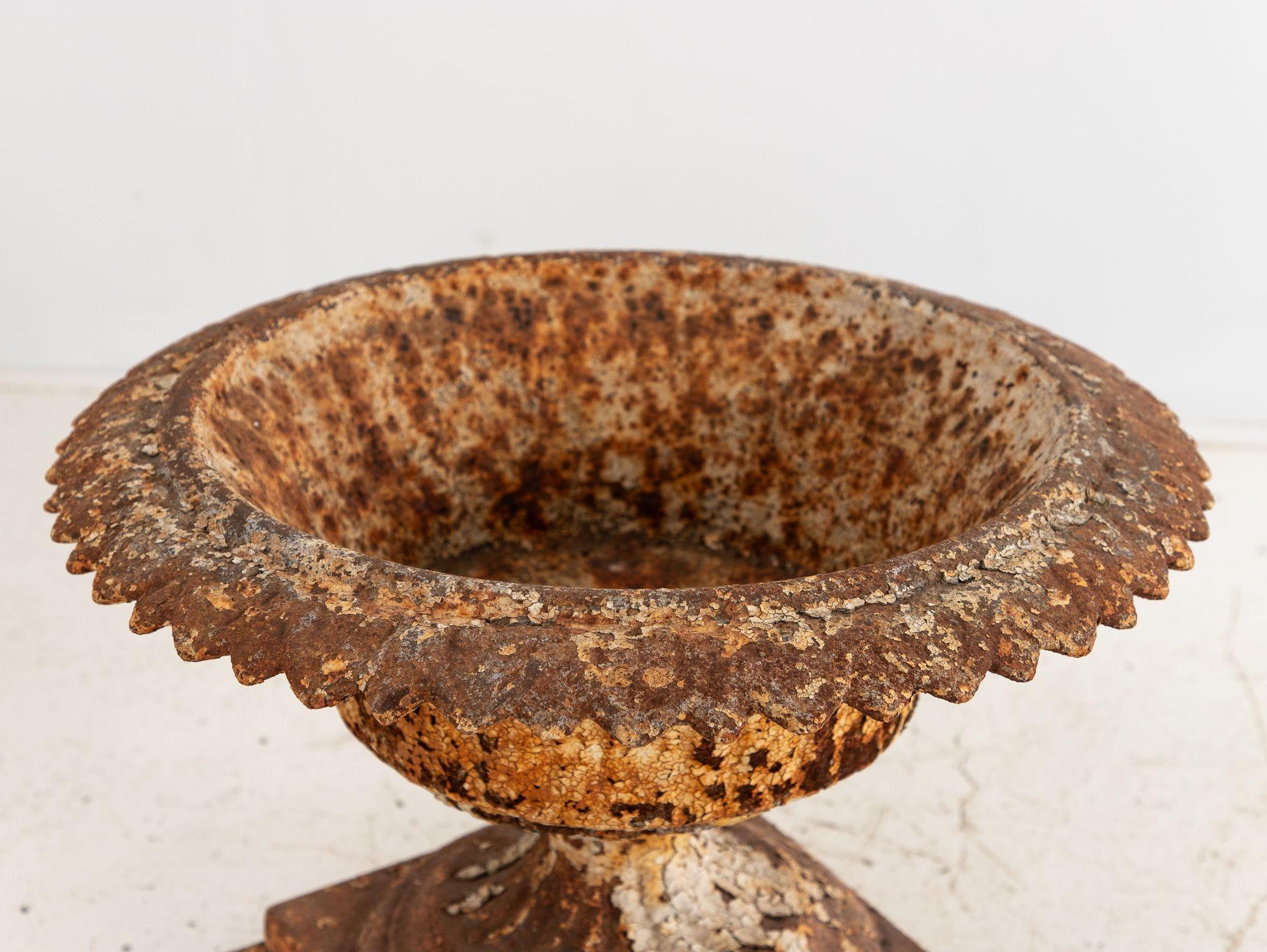 Antique Cast Iron Urn English Classically Styled Planter, Victorian 19th Century For Sale 5