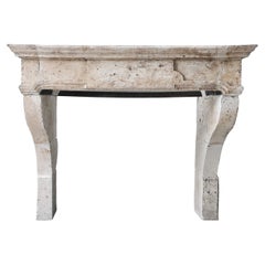 Antique Castle Fireplace of french limestone from the 18th century Louis XIII