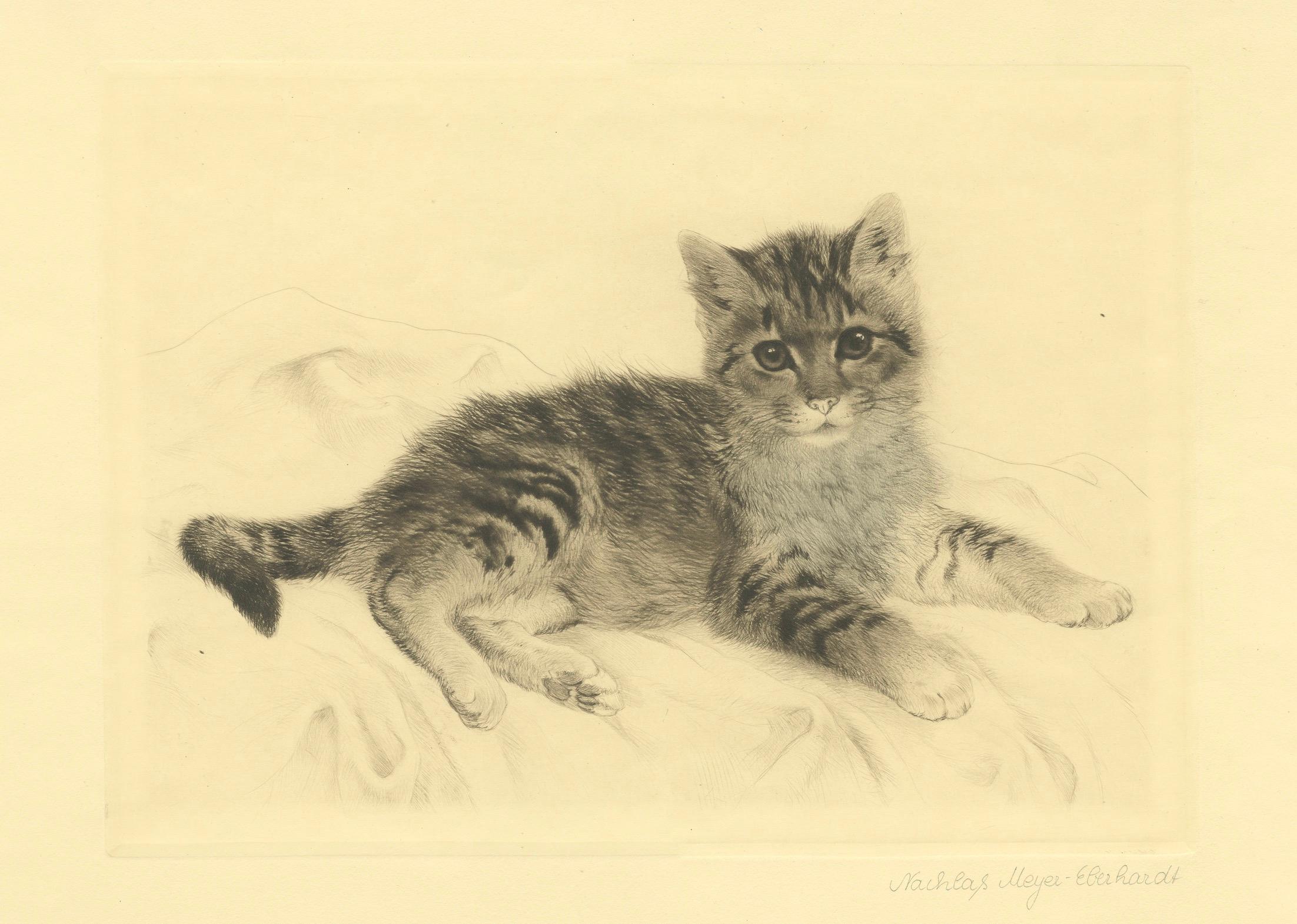 Grabado antiguo de gato de Kurt Meyer-Eberhardt - Edición Estate - Póstumo 1977 finales del siglo XX en venta
