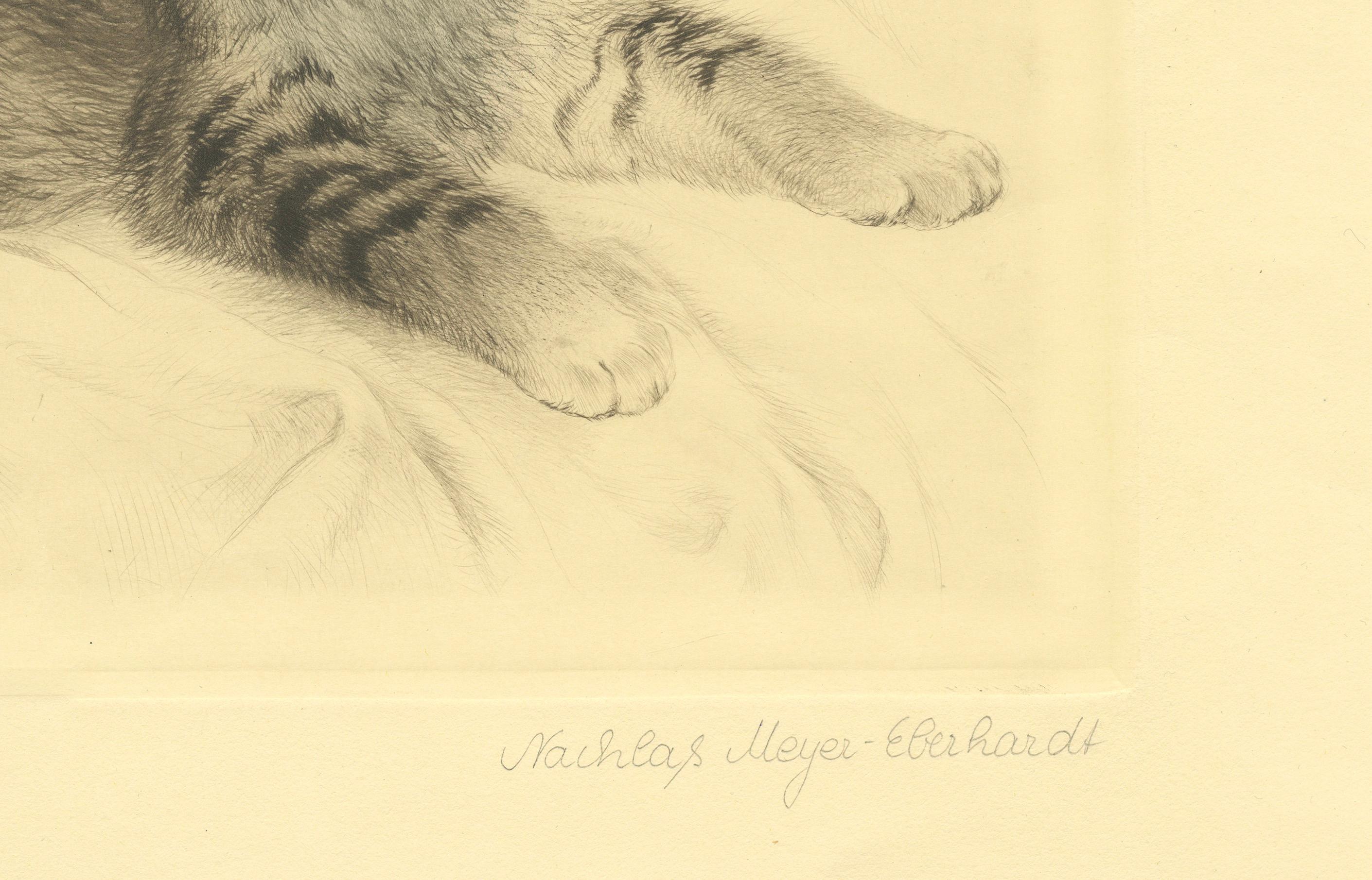 Grabado antiguo de gato de Kurt Meyer-Eberhardt - Edición Estate - Póstumo 1977 Papel en venta
