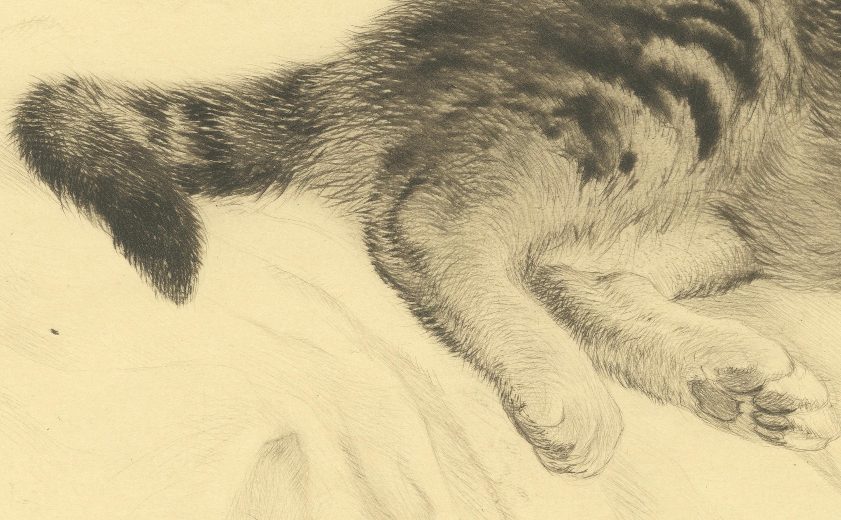 Grabado antiguo de gato de Kurt Meyer-Eberhardt - Edición Estate - Póstumo 1977 en venta 1