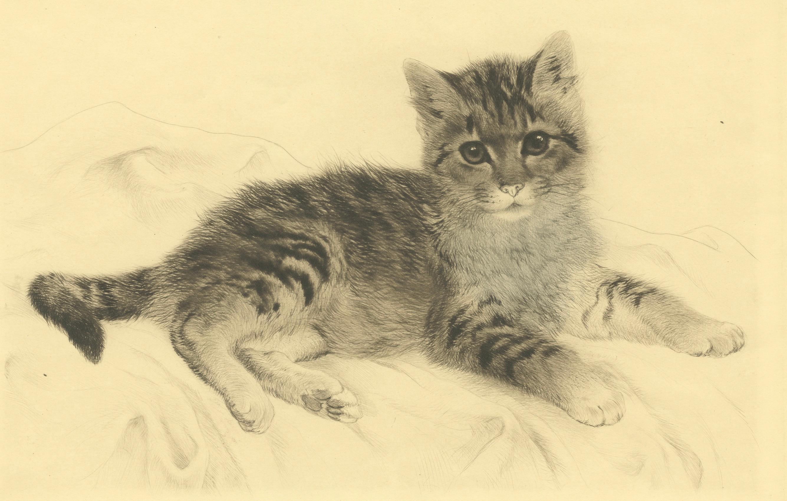 Grabado antiguo de gato de Kurt Meyer-Eberhardt - Edición Estate - Póstumo 1977 en venta 2