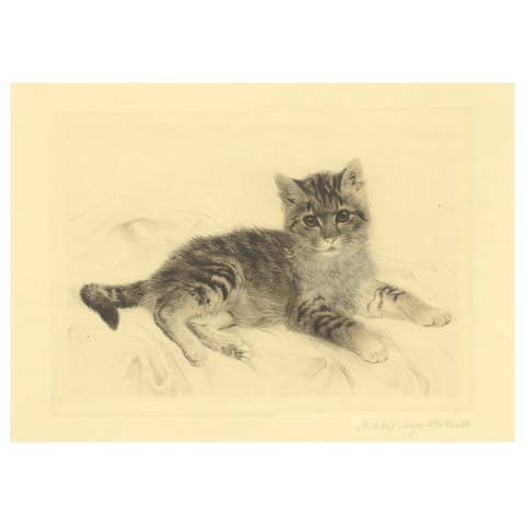 Antique Cat Etching by Kurt Meyer-Eberhardt – Estate Edition – Posthumous 1977