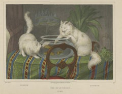 Antique Cat Print 'The Goldfishes', circa 1850