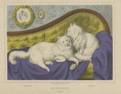 Antique Cat Print 'The Medaillon', circa 1850