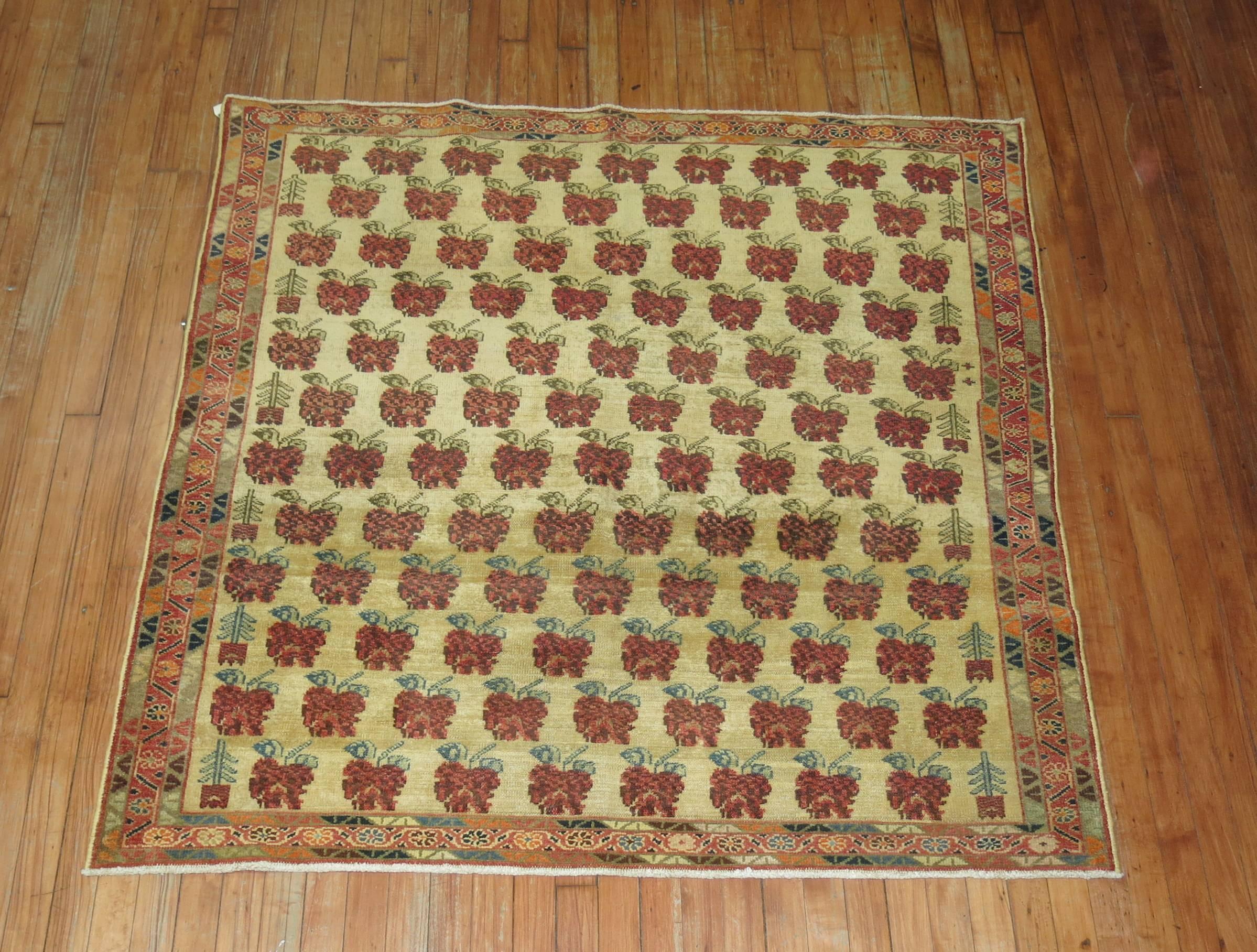 Rare Antique Caucasian Kuba 5 Foot Square Rug  In Good Condition For Sale In New York, NY