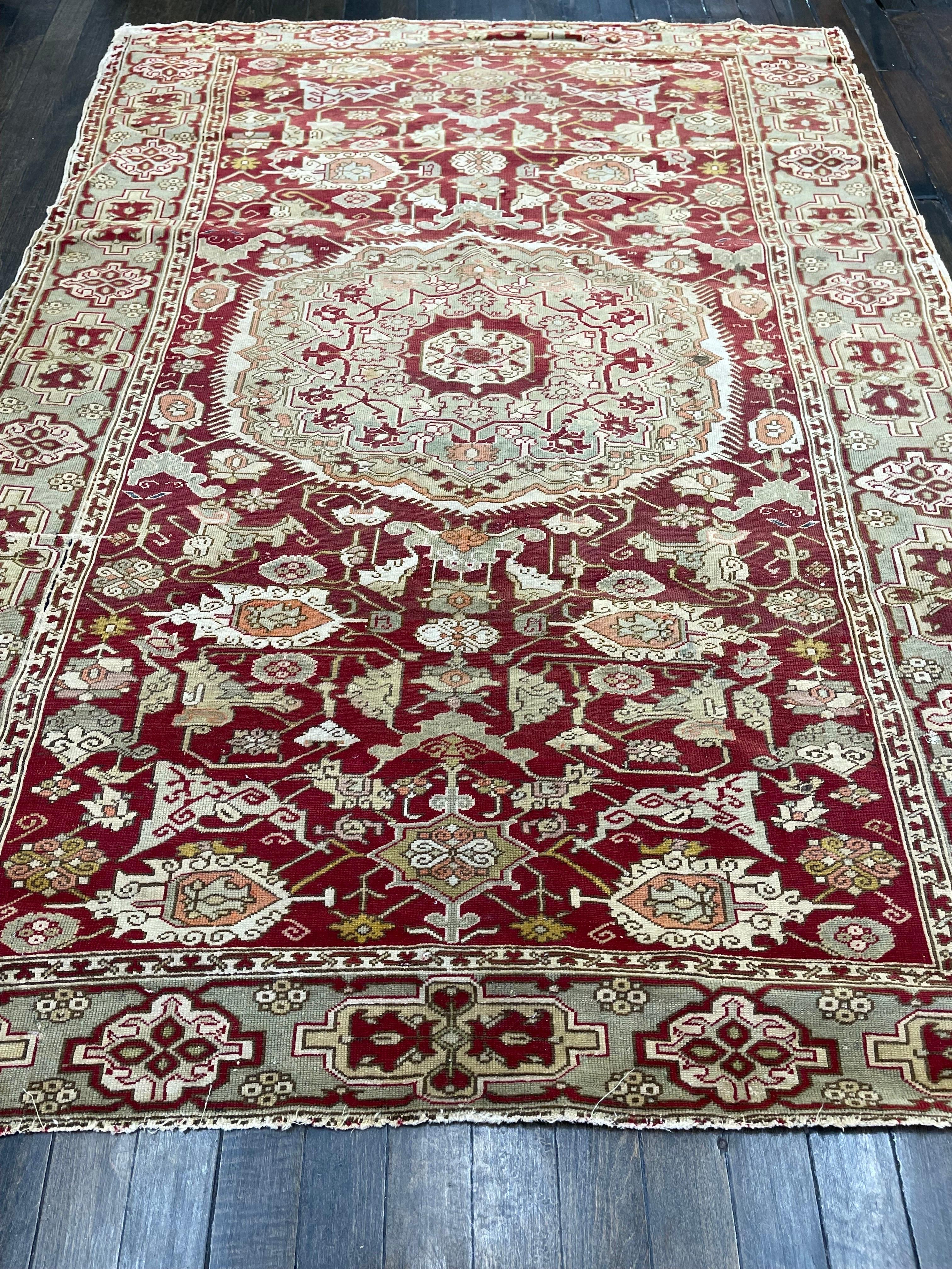 Peut-être le tapis caucasien le plus unique de notre collection, ce tapis Shirvan se distingue de tous les autres par son revêtement en soie d'origine ! Tissé à la main dans la ville de Shirvan, l'une des principales régions de tissage du Caucase,
