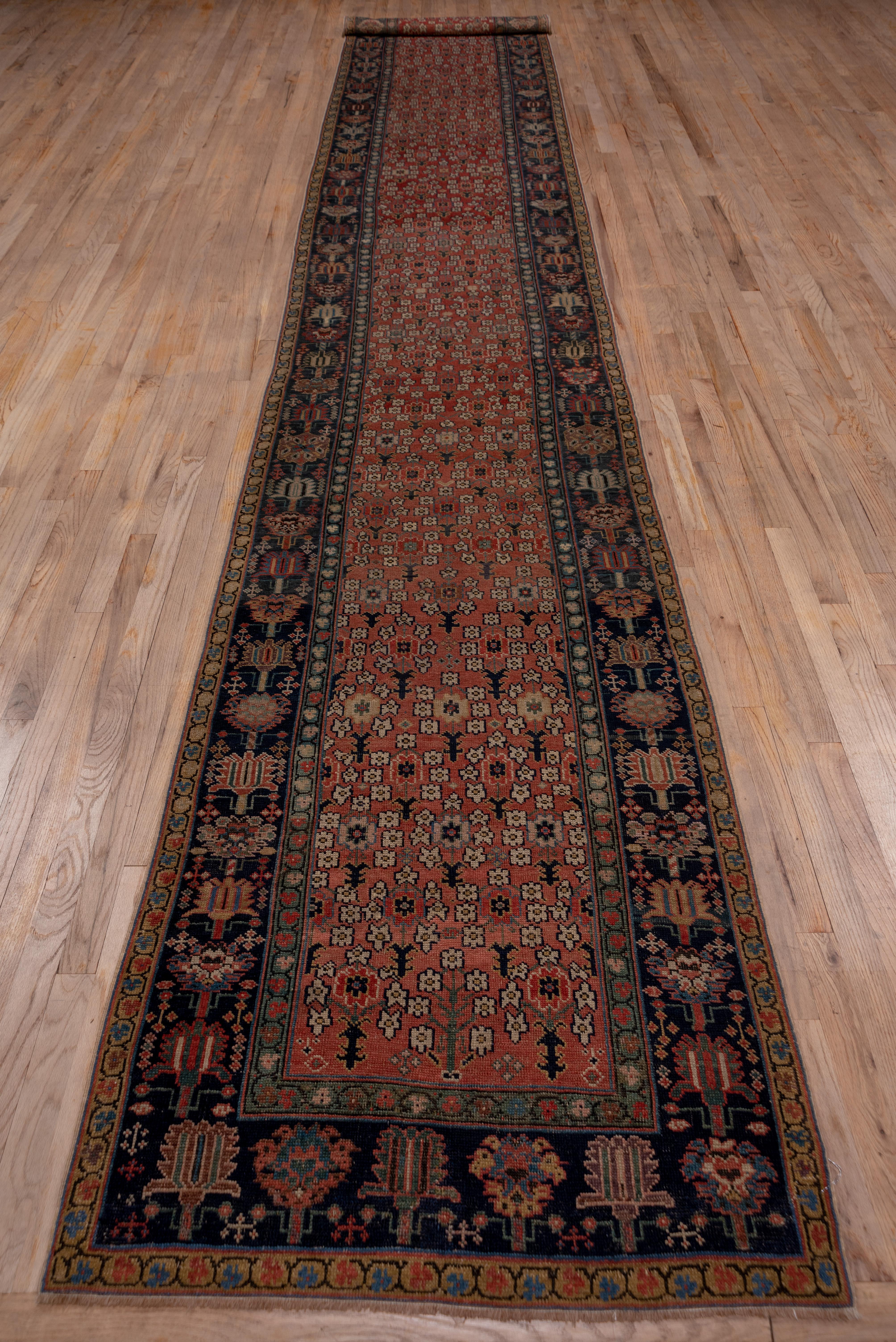 This medium weave eastern Caucasian runner (kenare) features a soft coral ground uniformly presenting five and six petal rosettes, larger rosettes and brown stylized flowers. The abrashed navy border shows unidirectional chains of fringed spade