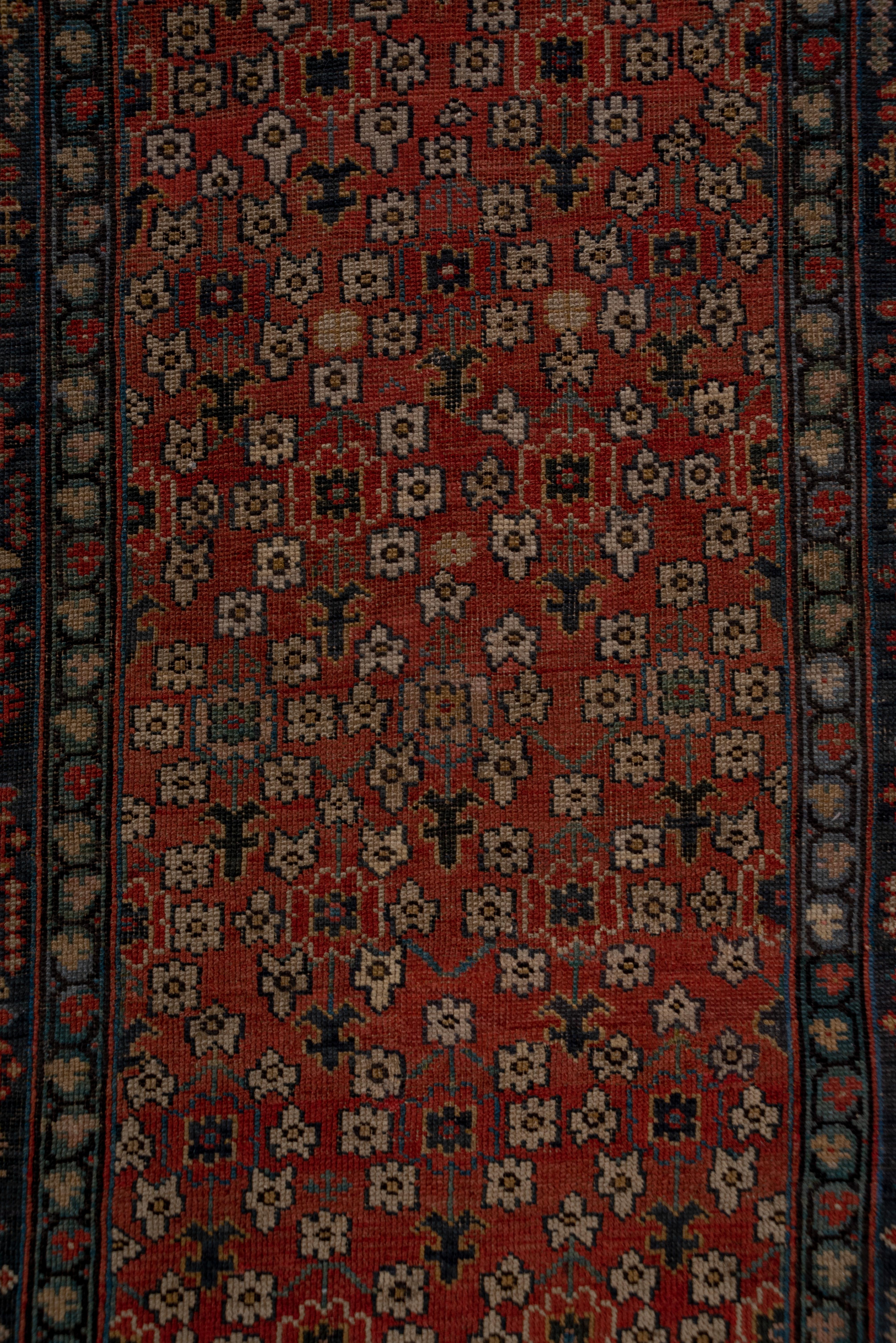 Tribal Antique Caucasian Shirvan Long Runner, Coral Allover Field, Colorful Borders For Sale