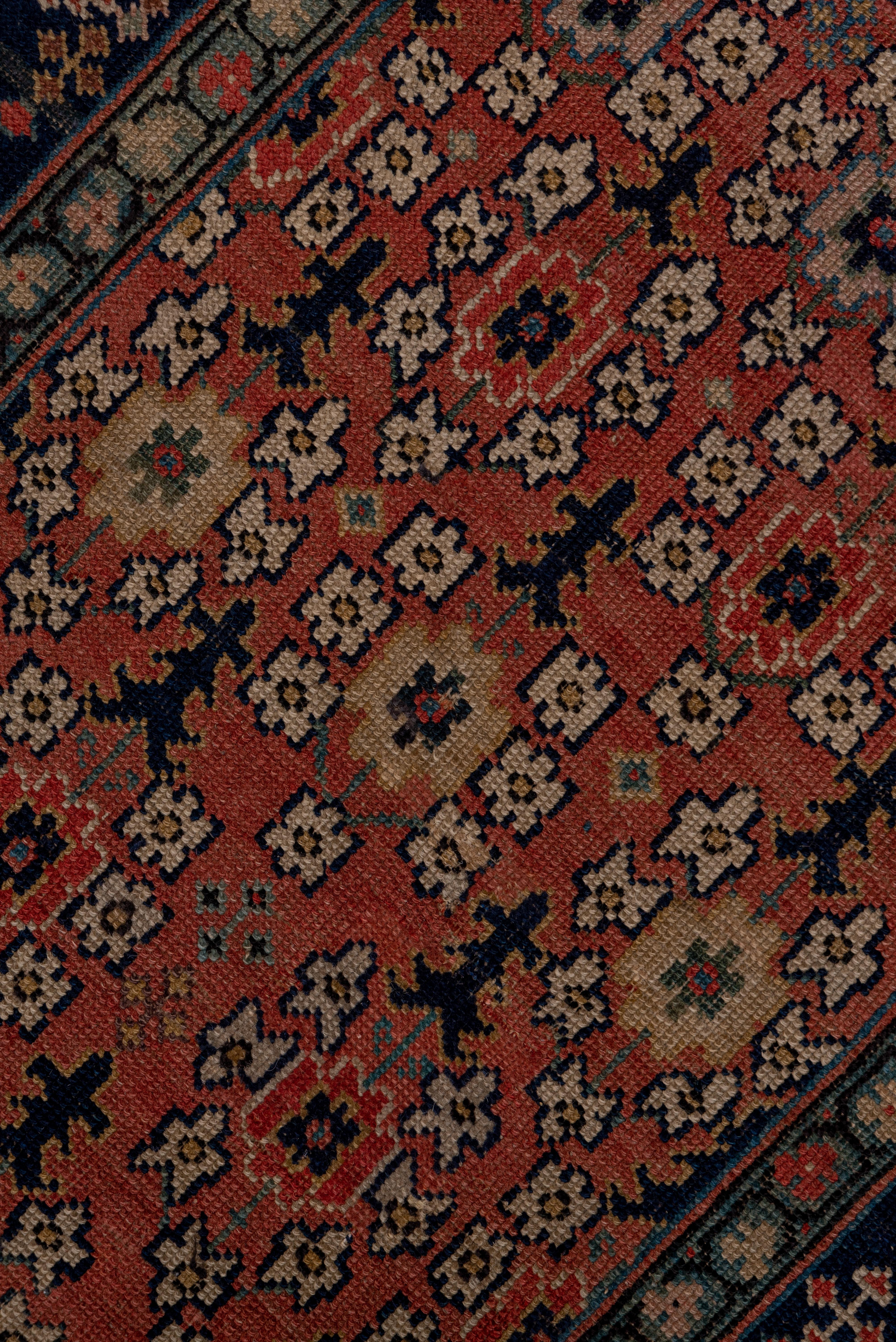 Persian Antique Caucasian Shirvan Long Runner, Coral Allover Field, Colorful Borders For Sale