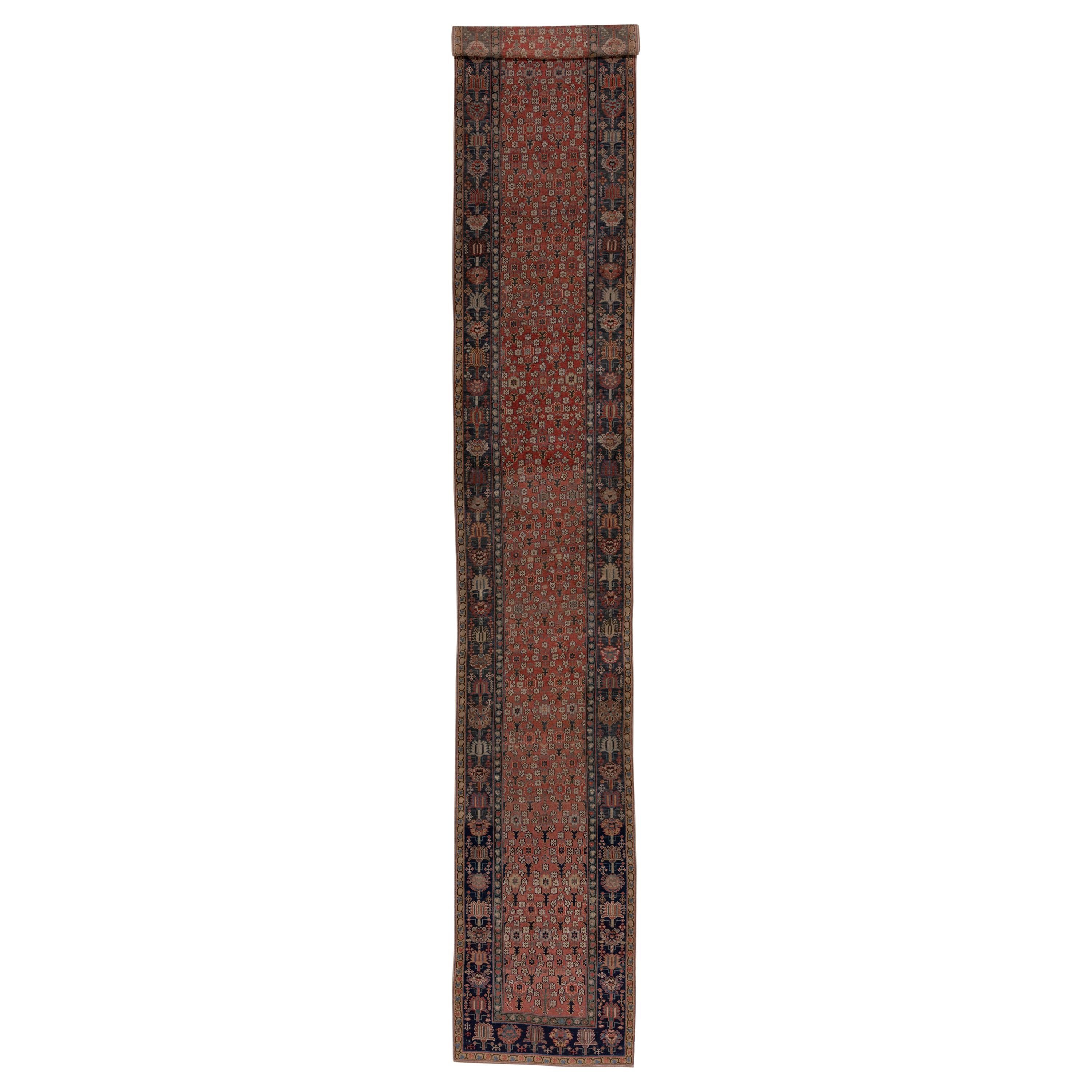 Antique Caucasian Shirvan Long Runner, Coral Allover Field, Colorful Borders For Sale