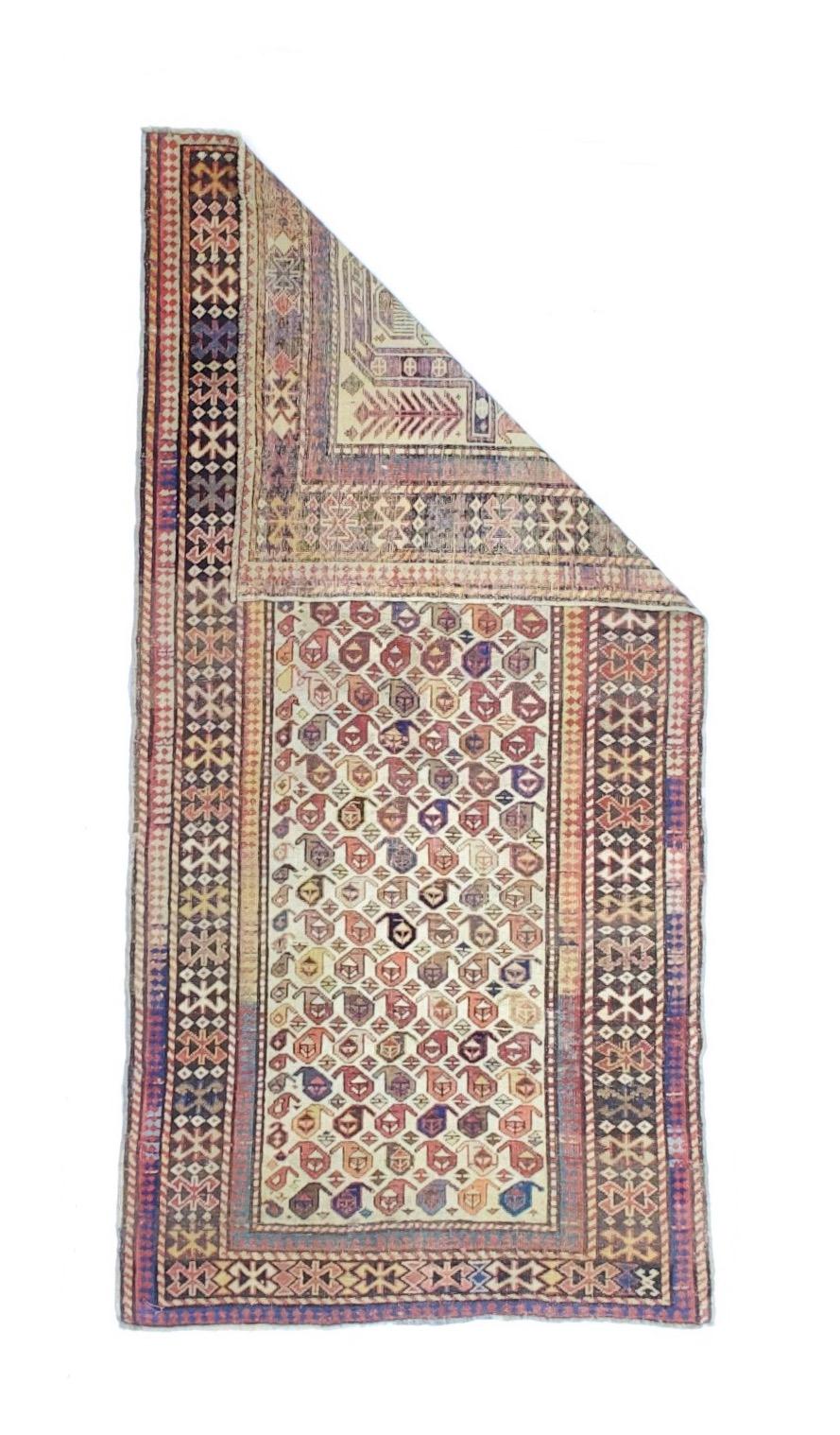 Tapis ancien caucasien Shirvan 2'9
