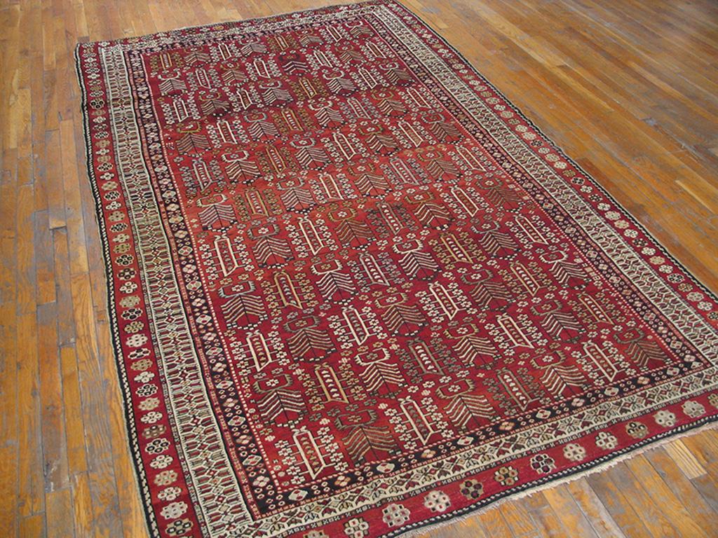 Caucasien ancien, tapis Shirvan, taille : 5'10