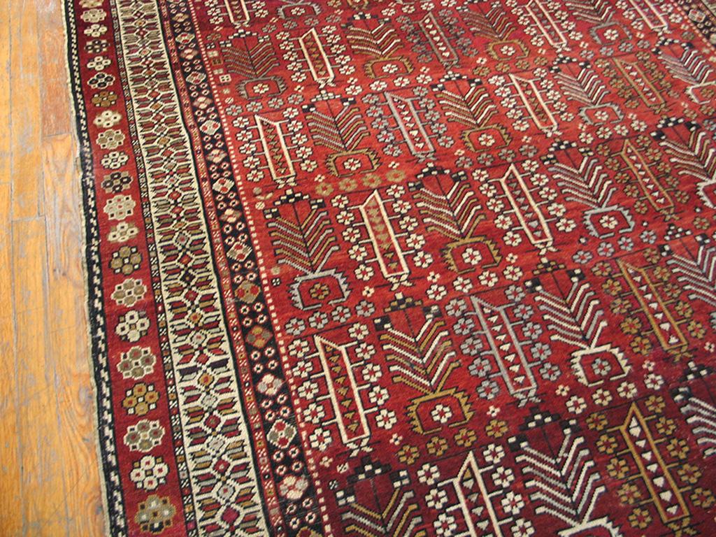 Laine Tapis caucasien ancien, Shirvan en vente