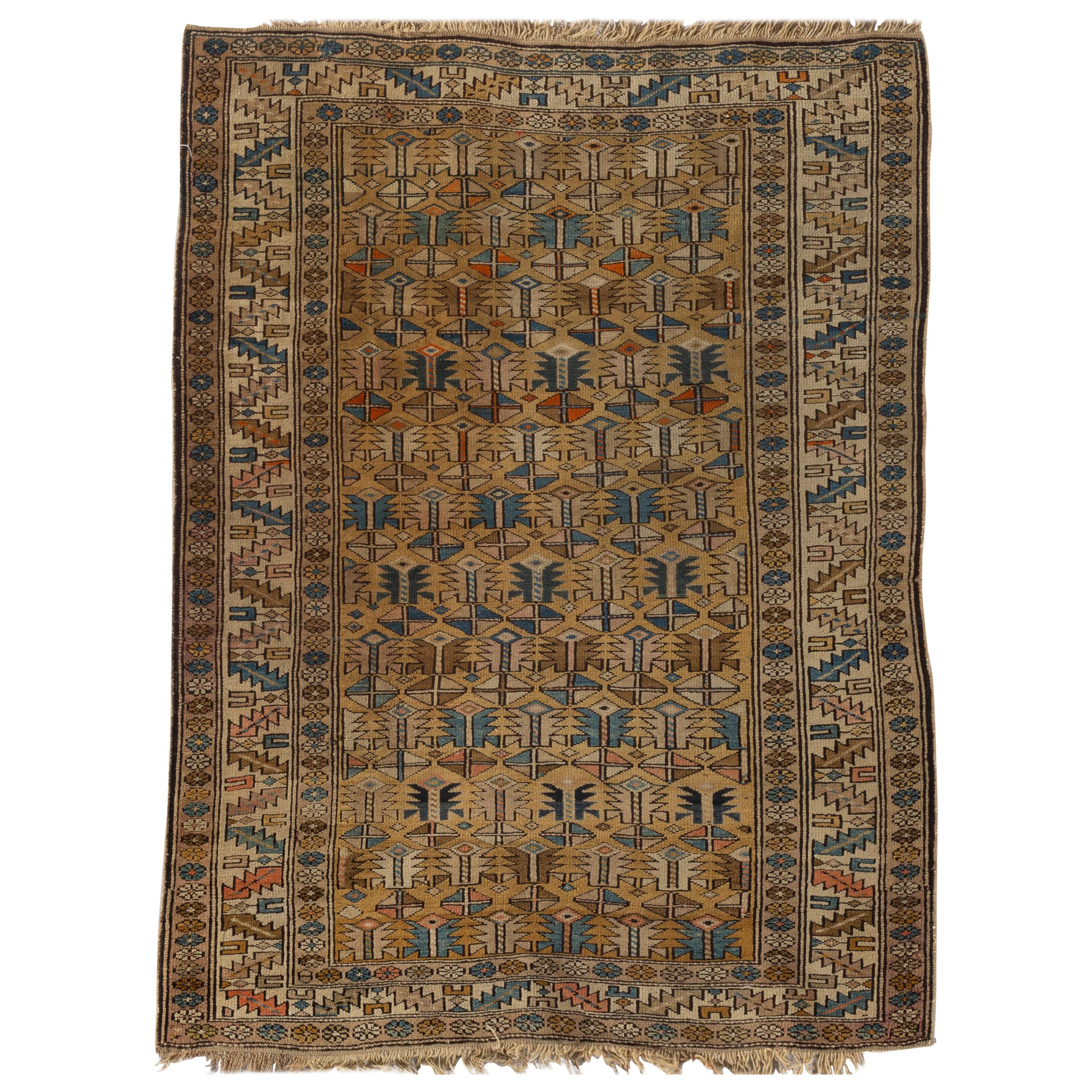 Antico tappeto caucasico Shirvan, 1880 circa