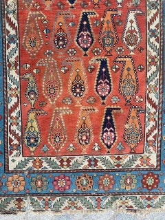 Bobyrug’s Antique Caucasian Shirwan Rug
