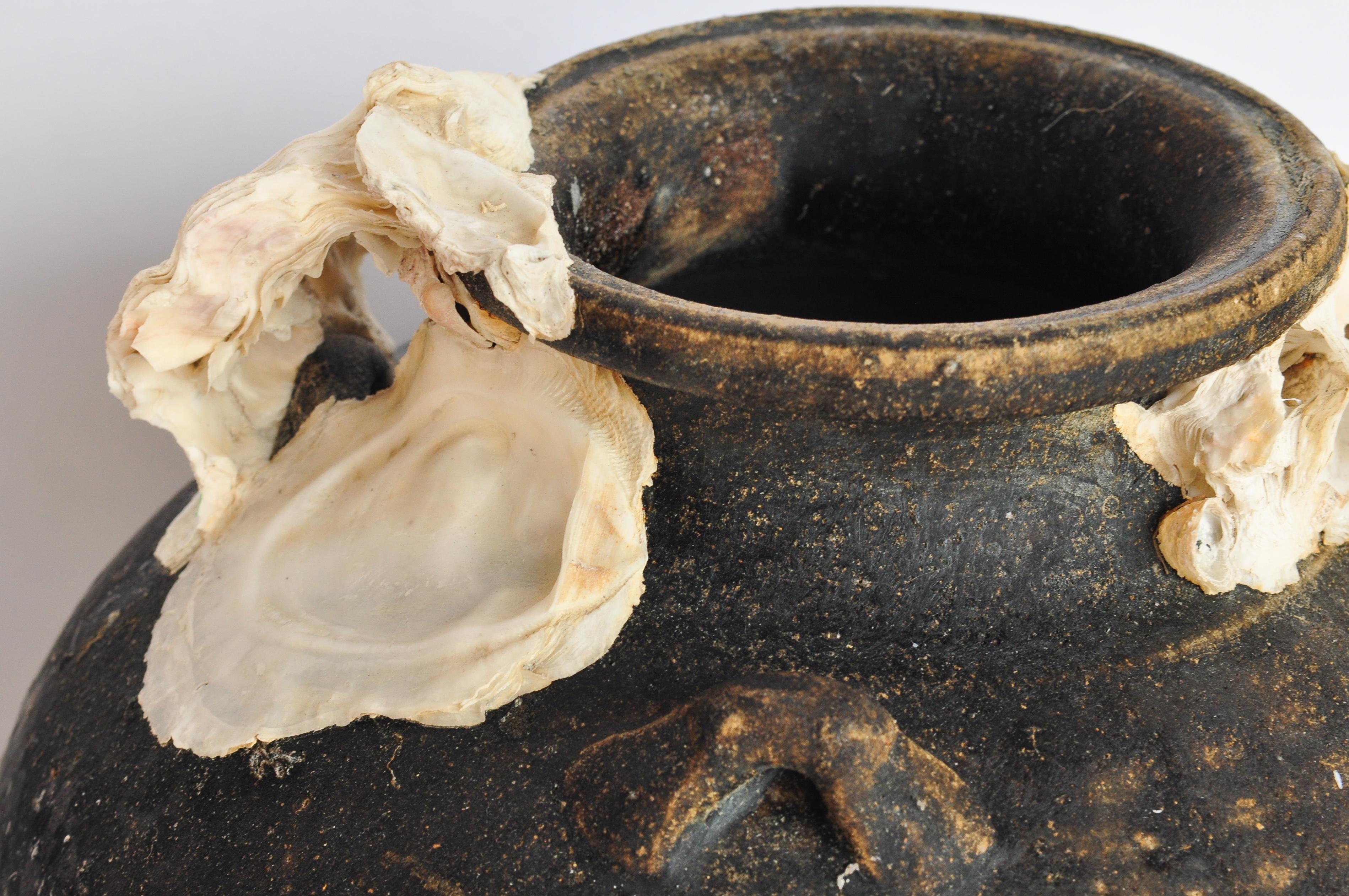 Organic Modern Large Antique Ceramic Jar with Encrustations 15