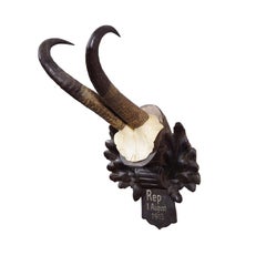 Trofeo antiguo de gamuza sobre placa tallada, Alemania 1913