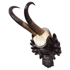 Trofeo antiguo de gamuza sobre placa tallada, Alemania 1913